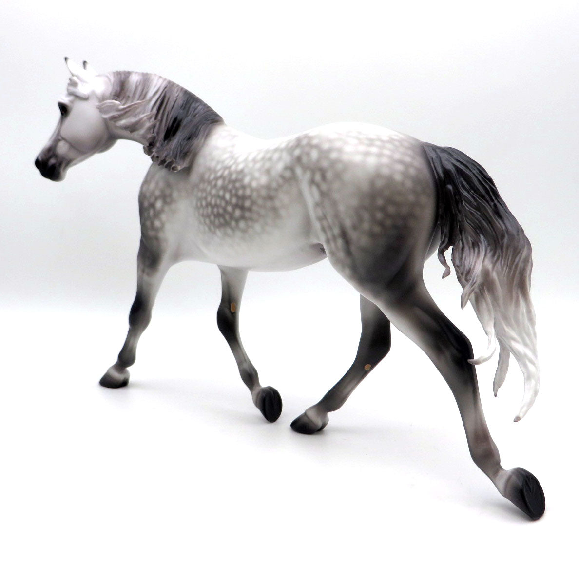 Brighton-OOAK Dapple Grey Palouse by Caroline Boydston 8/8/22