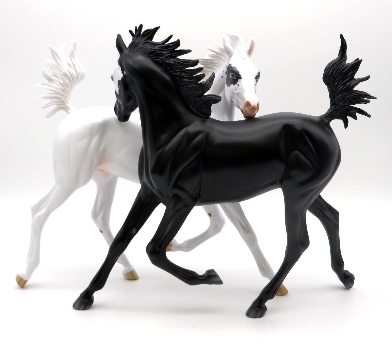 Dancers of Unity-Arabian Yearling AOTH 22