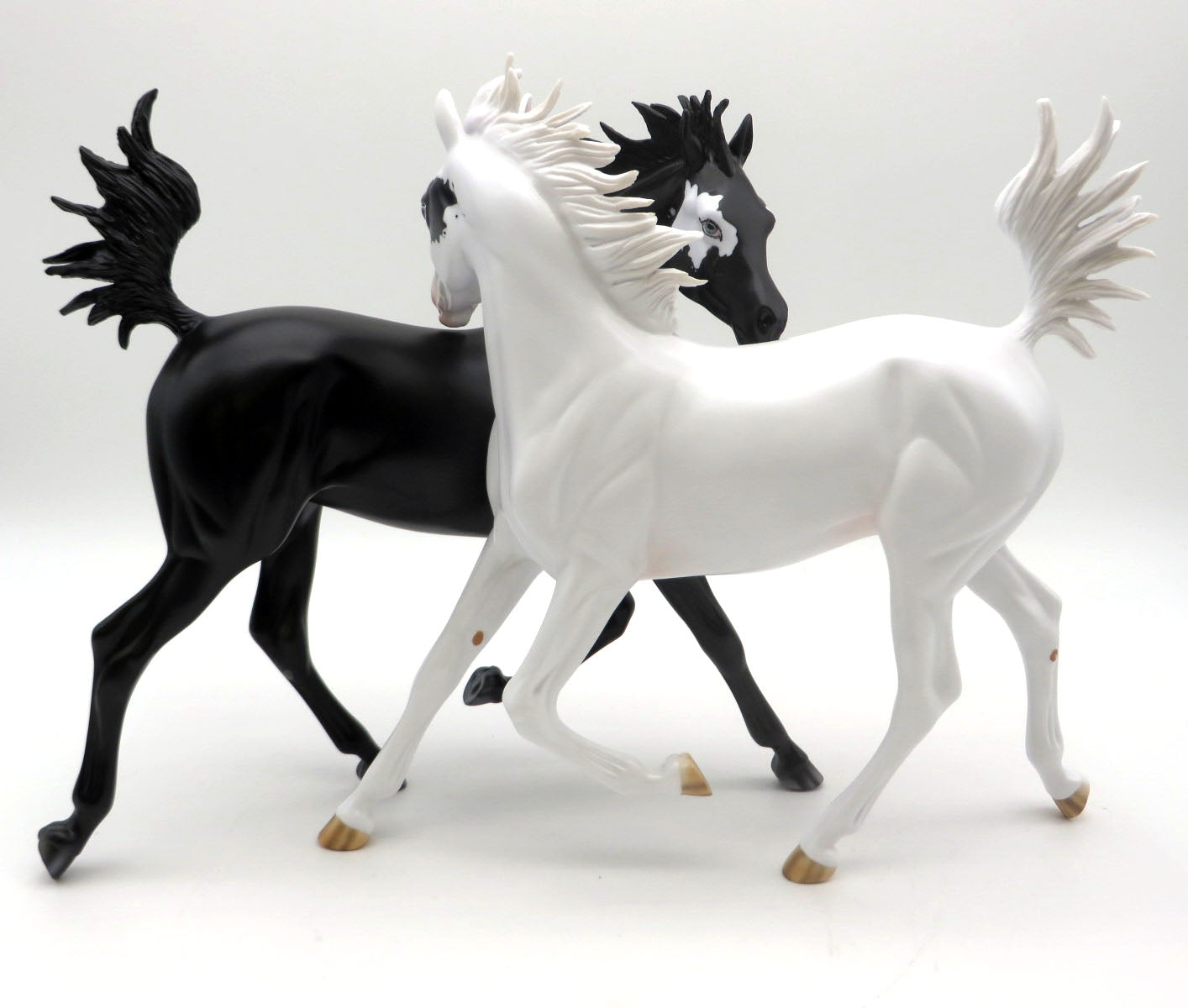 Dancers of Unity-Arabian Yearling AOTH 22