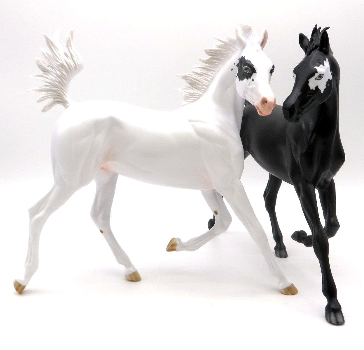 Dancers of Unity-Arabian Yearling AOTH 22