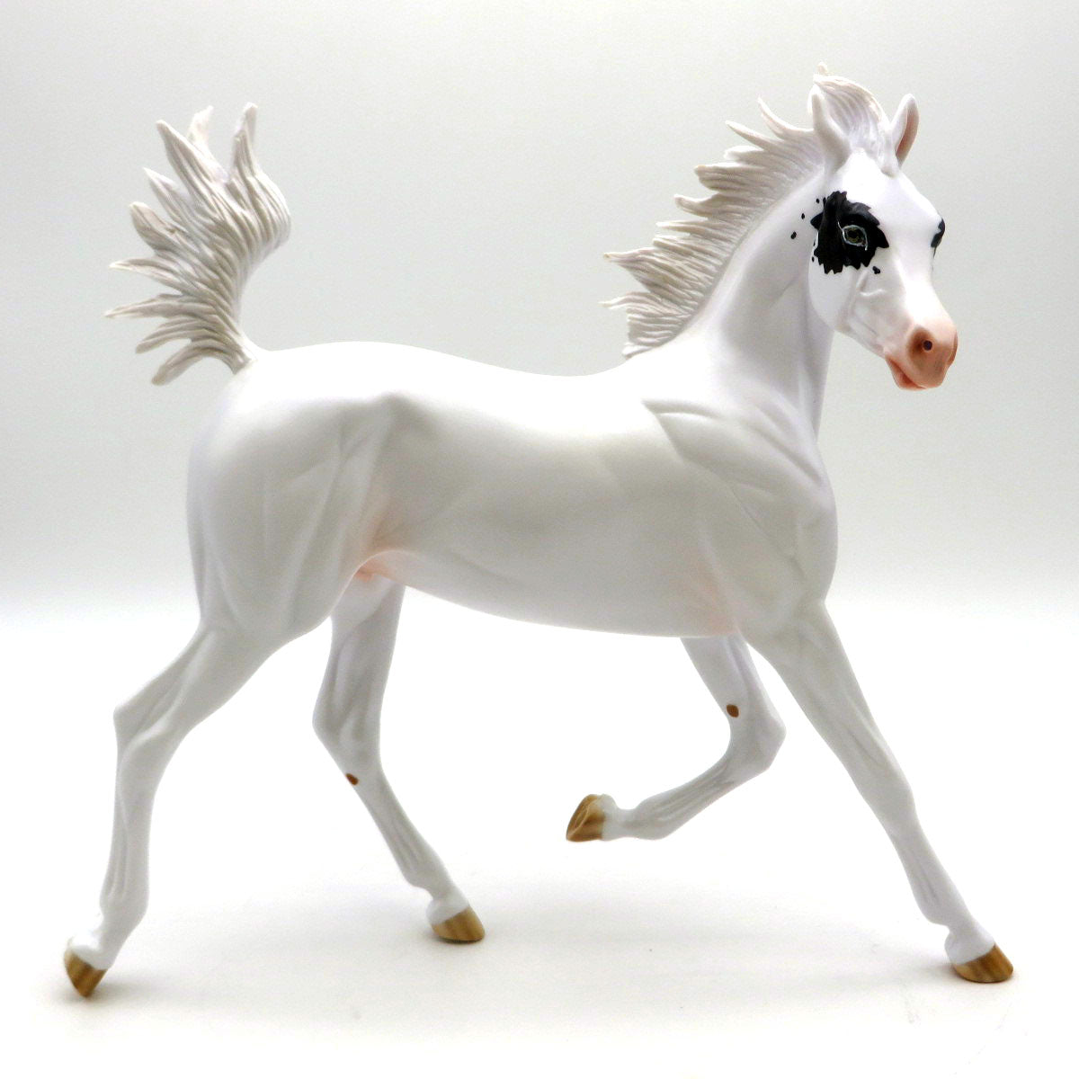 Dancers of Unity-Arabian Yearling AOTH 22