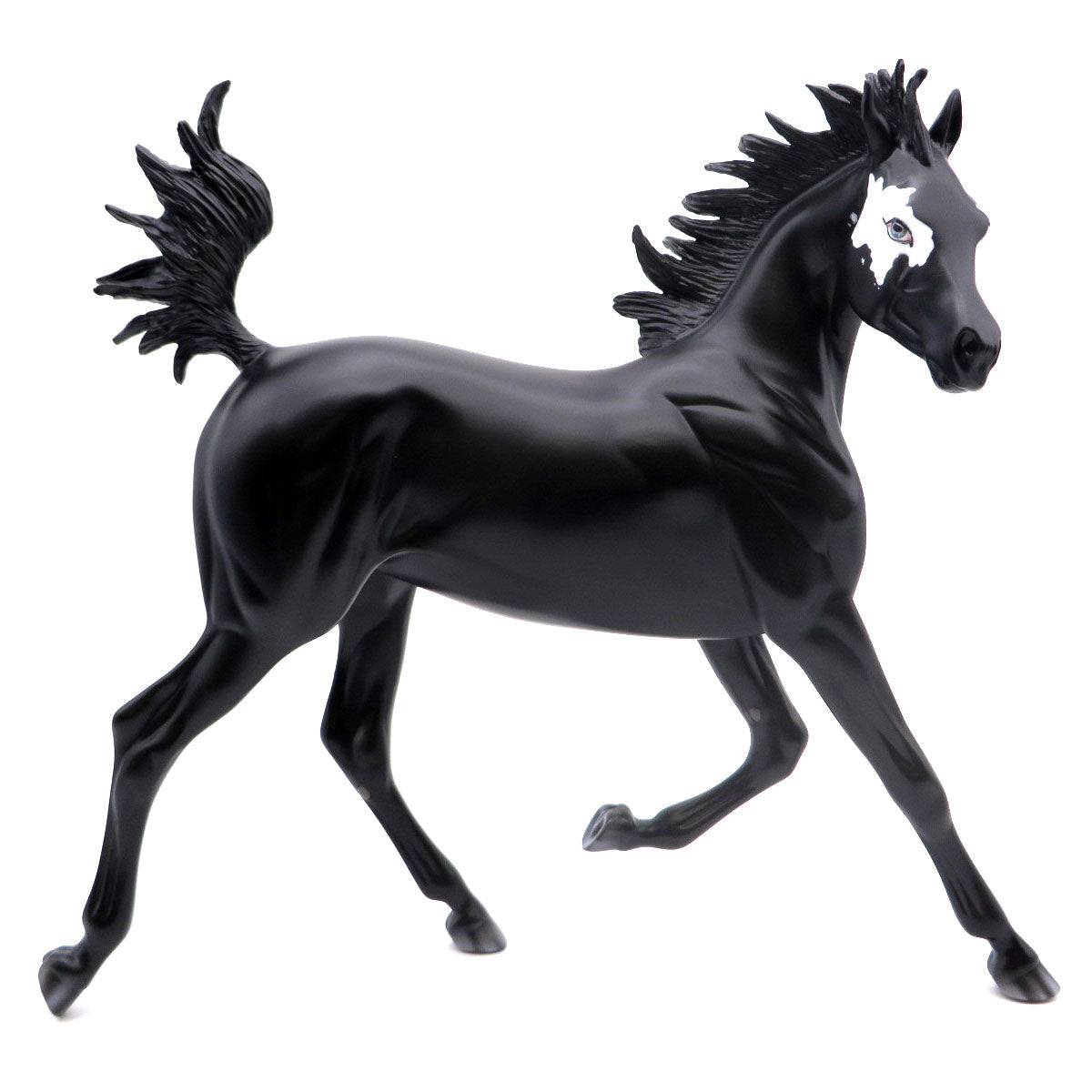 Dancers of Unity-Arabian Yearling AOTH 22