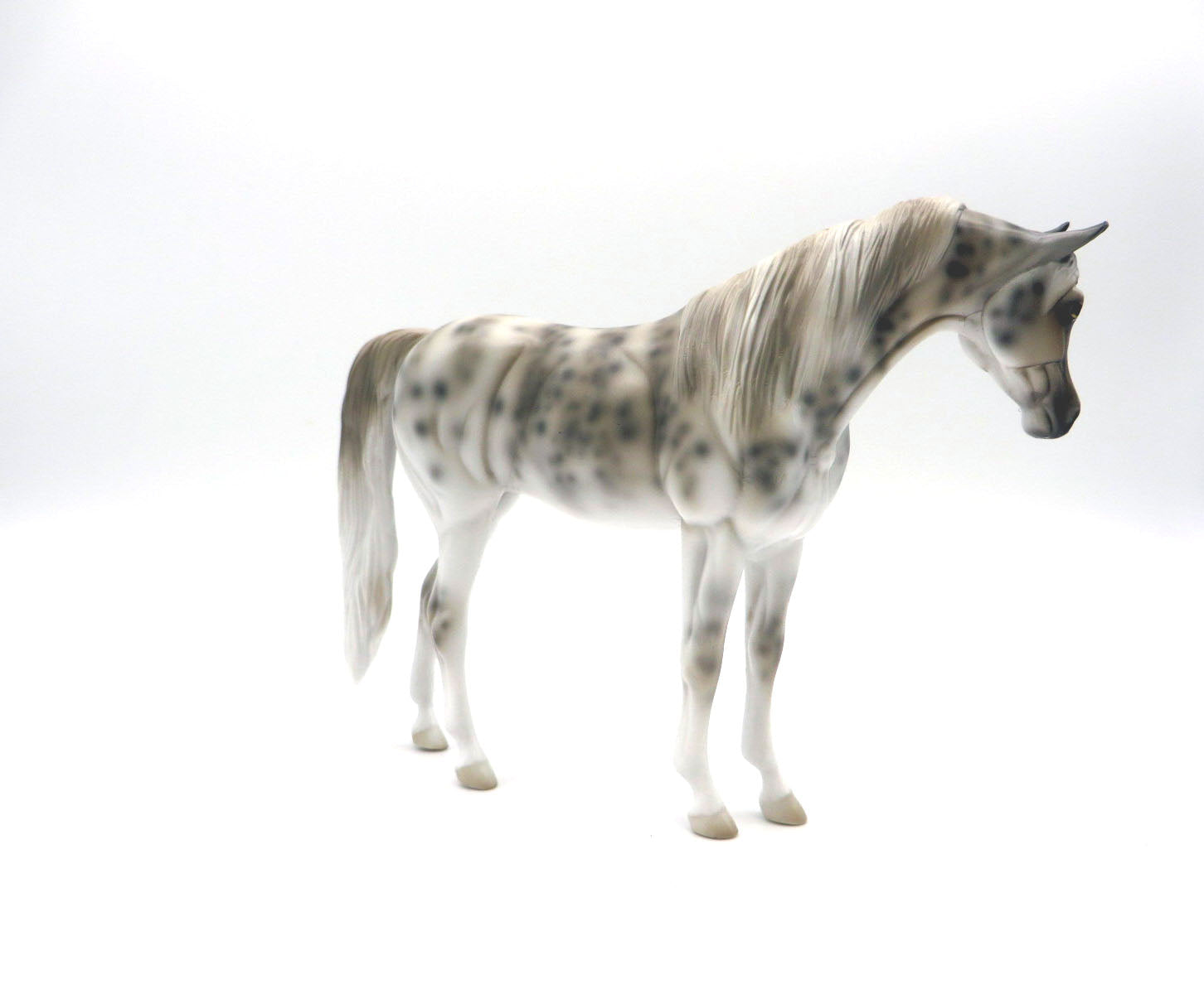 Zee-OOAK Deco Zebra Shark Arabian Pebbles Shark Week 22