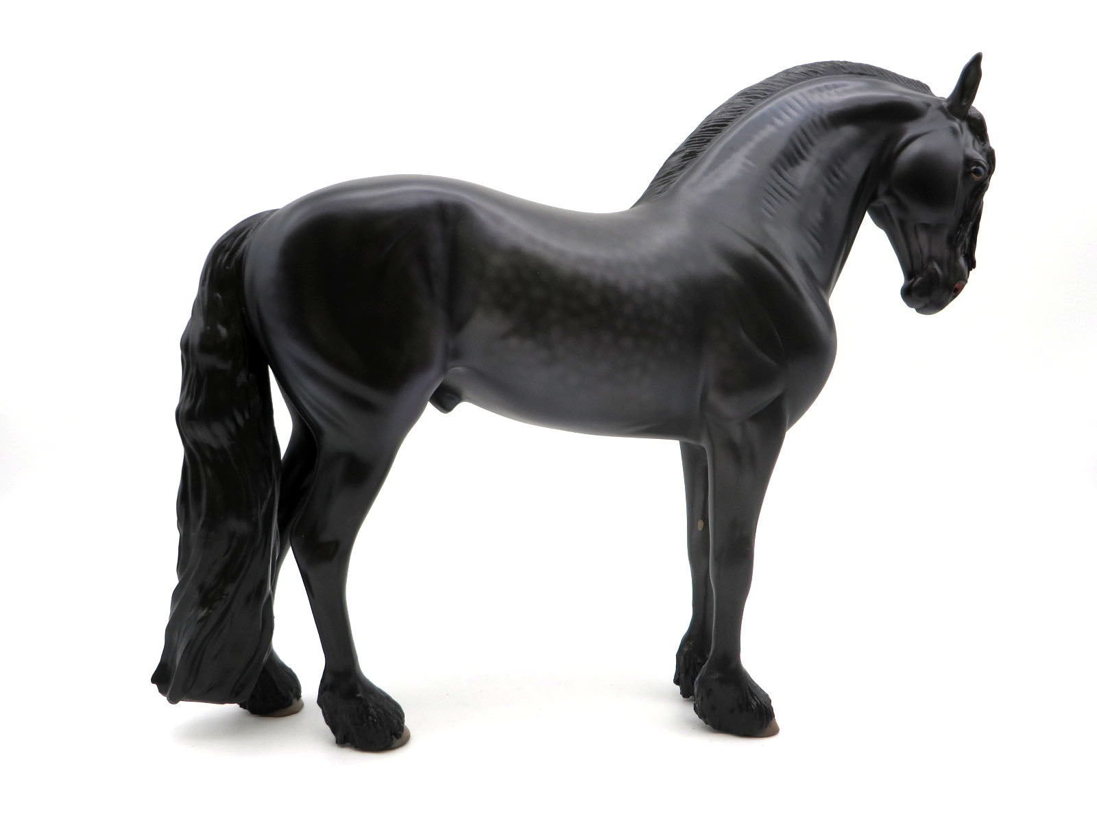 Dover-OOAK Dapple Black Andalusian By Caroline Boydston 8/15/22