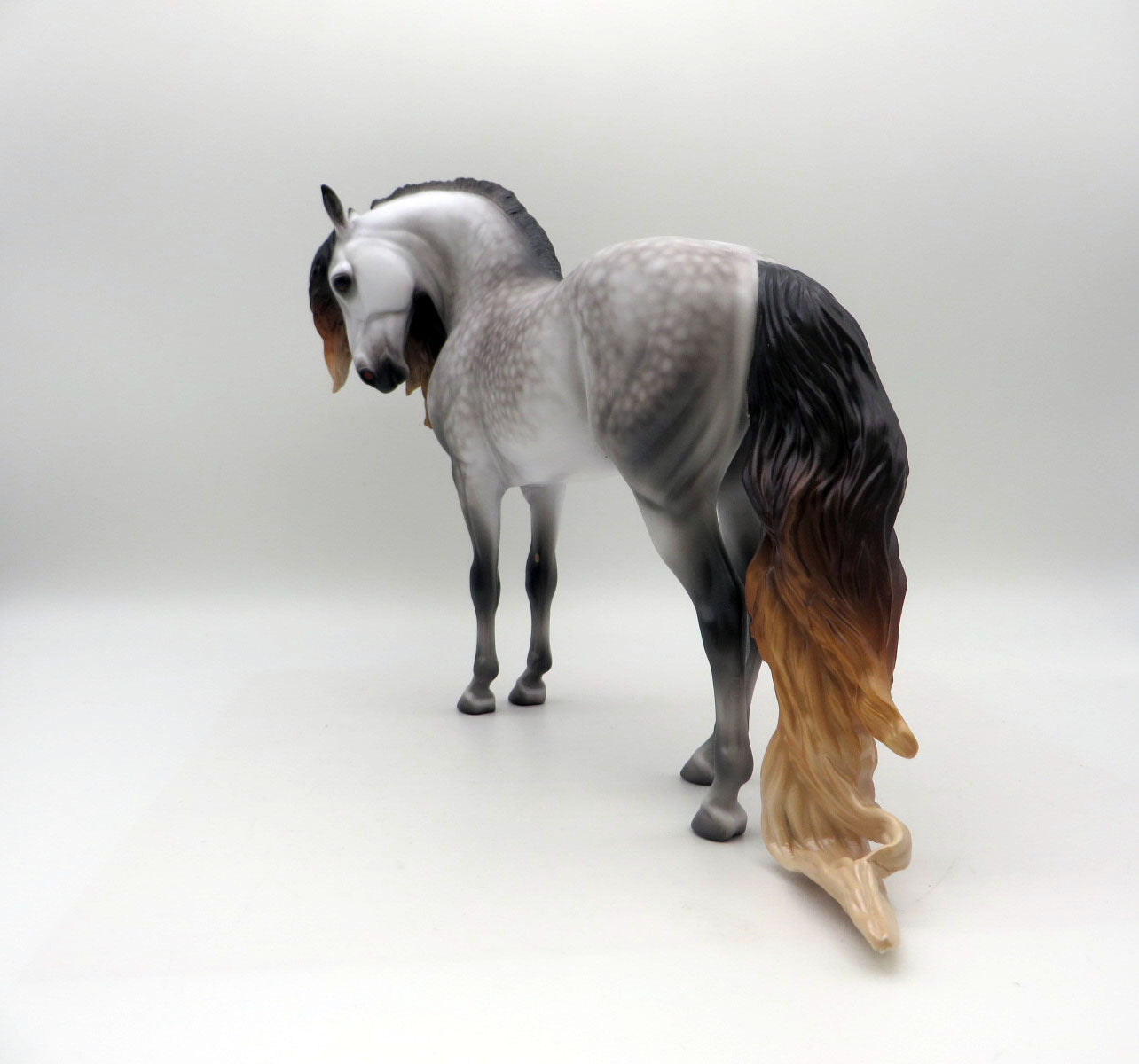 Cambridge-OOAK Dapple Grey Andalusian By Caroline Boydston 8/15/22
