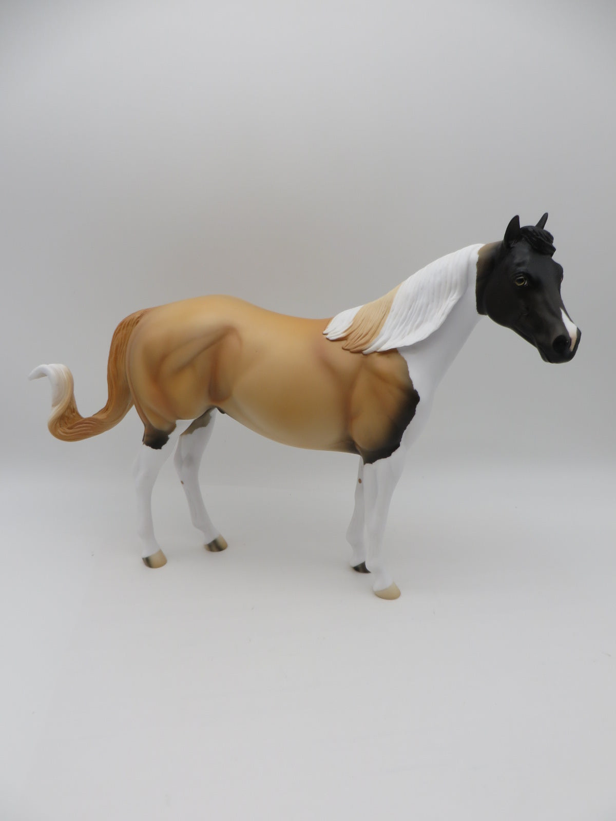 Pinto Bean - OOAK - Akita Inspired Buckskin Tobiano Ideal Stock Horse By Anglea Marleau - Paws & Claws 2023 - P&C 23