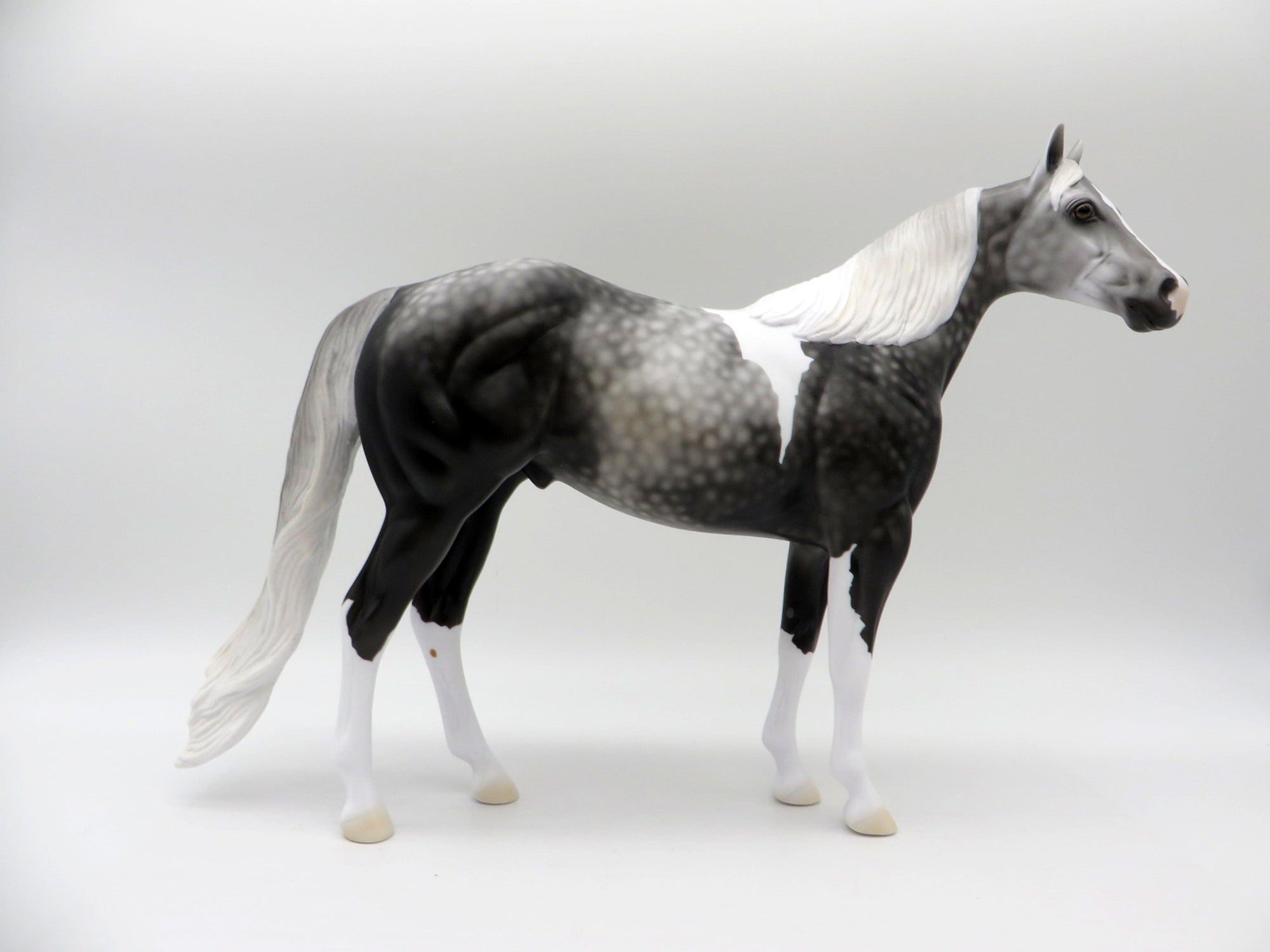 Idle Tongue-LE-3 Dapple Grey Paint ISH 5/7/21