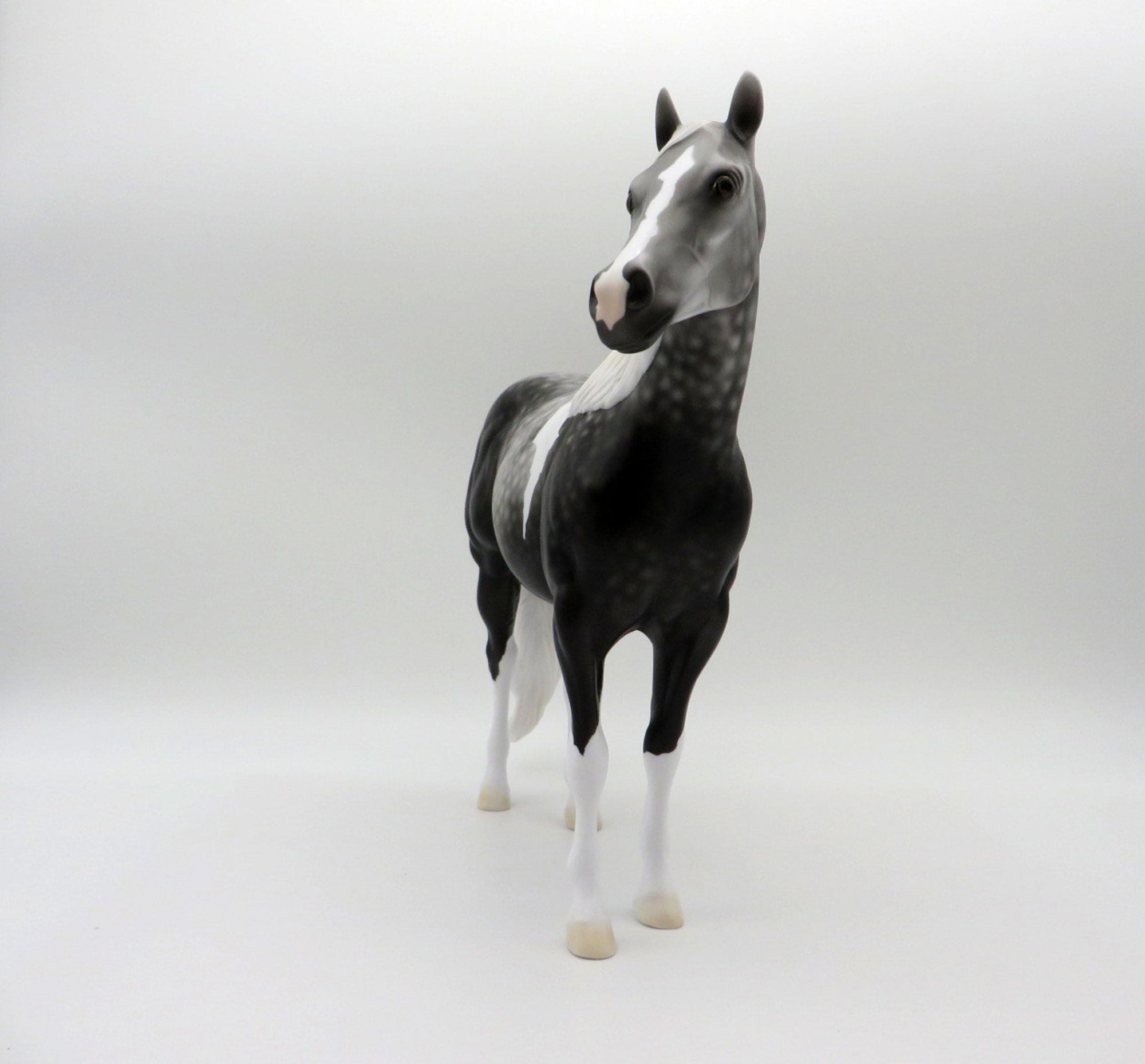 Idle Tongue-LE-3 Dapple Grey Paint ISH 5/7/21