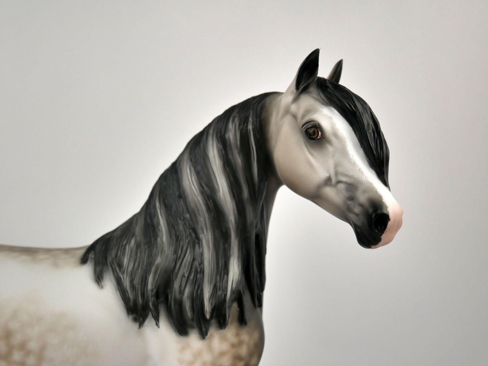 IMOGEN-OOAK DAPPLE BAY GOING GREY ARABIAN MARE BY SHERYL LEISURE 12/03/20