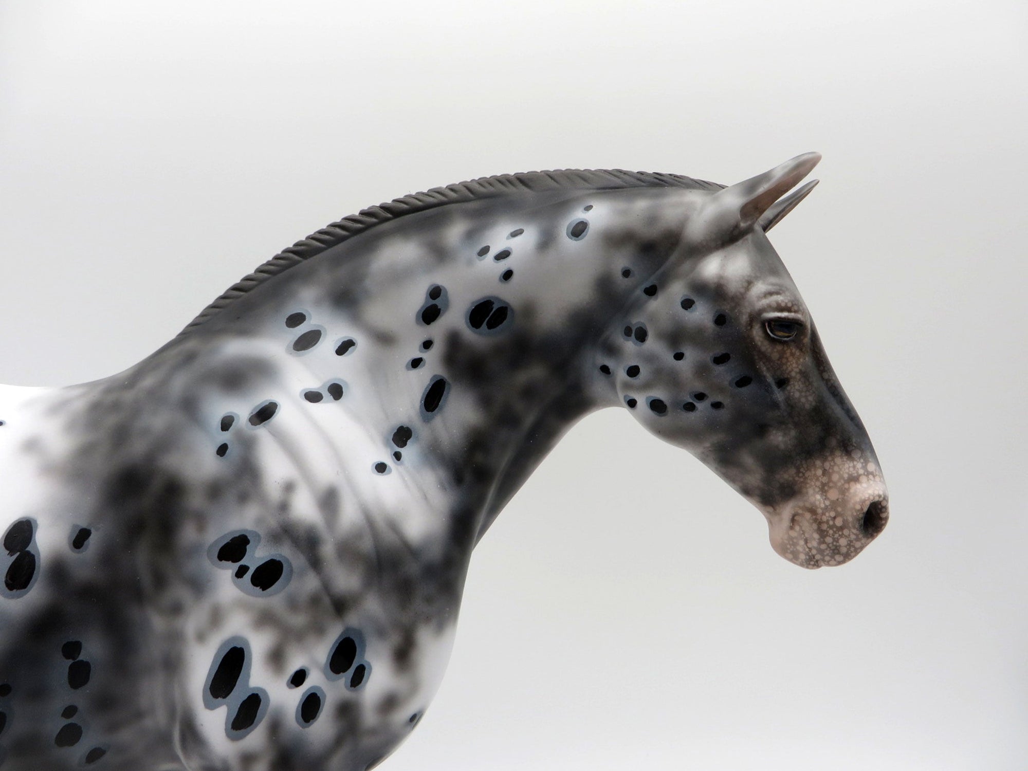 Inca-OOAK Appaloosa Heavy Draft Mare SHCF 2021