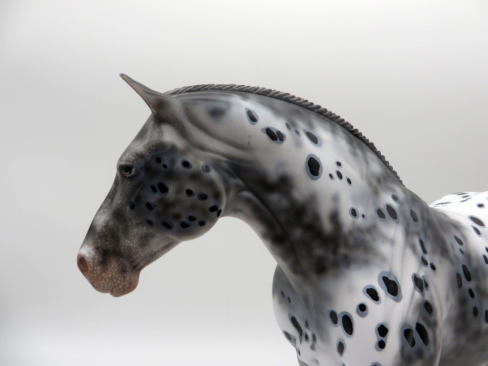 Inca-OOAK Appaloosa Heavy Draft Mare SHCF 2021
