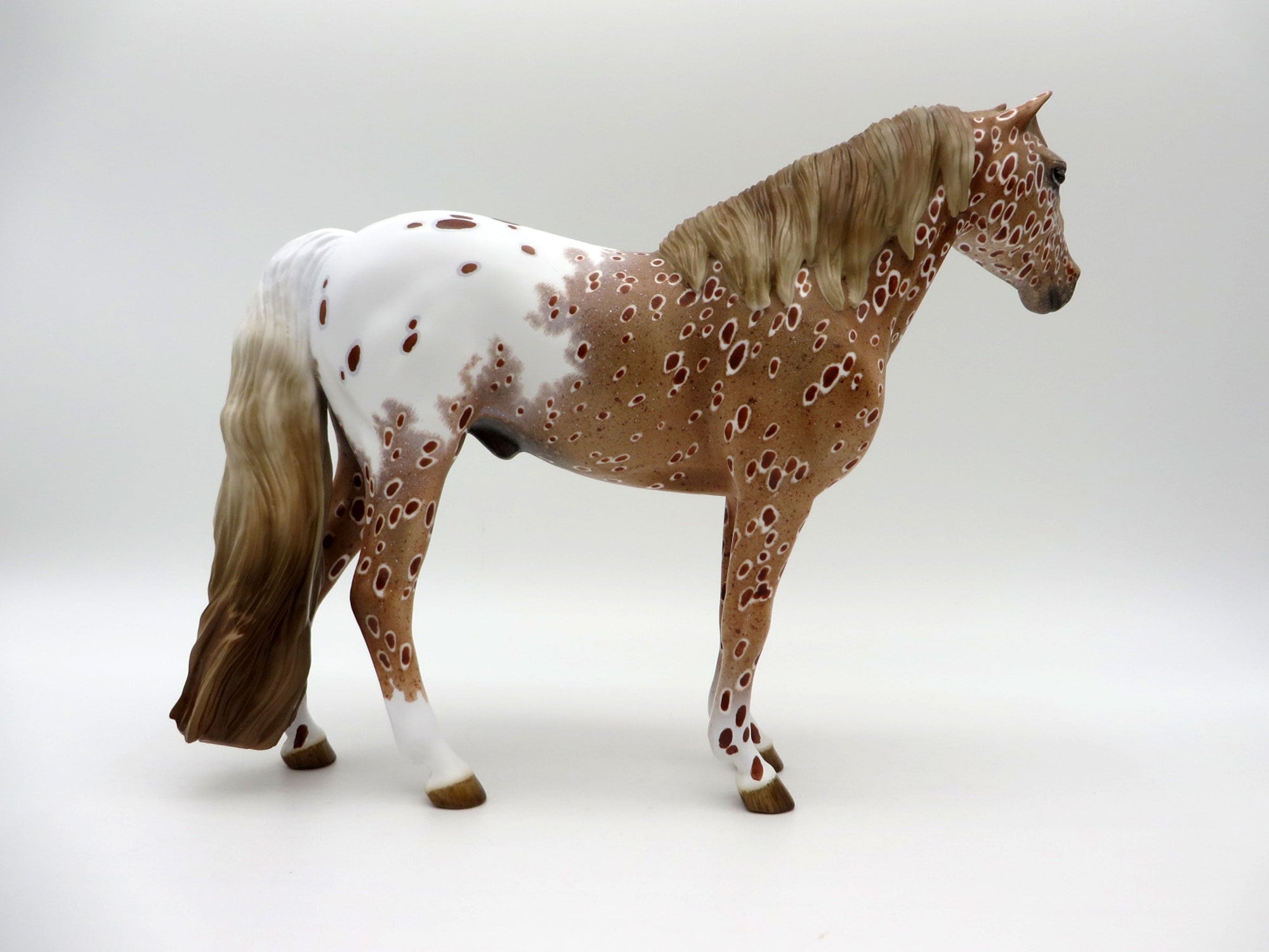 Inclement Weather-OOAK Loud Chestnut Appaloosa Mustang 5/11/21