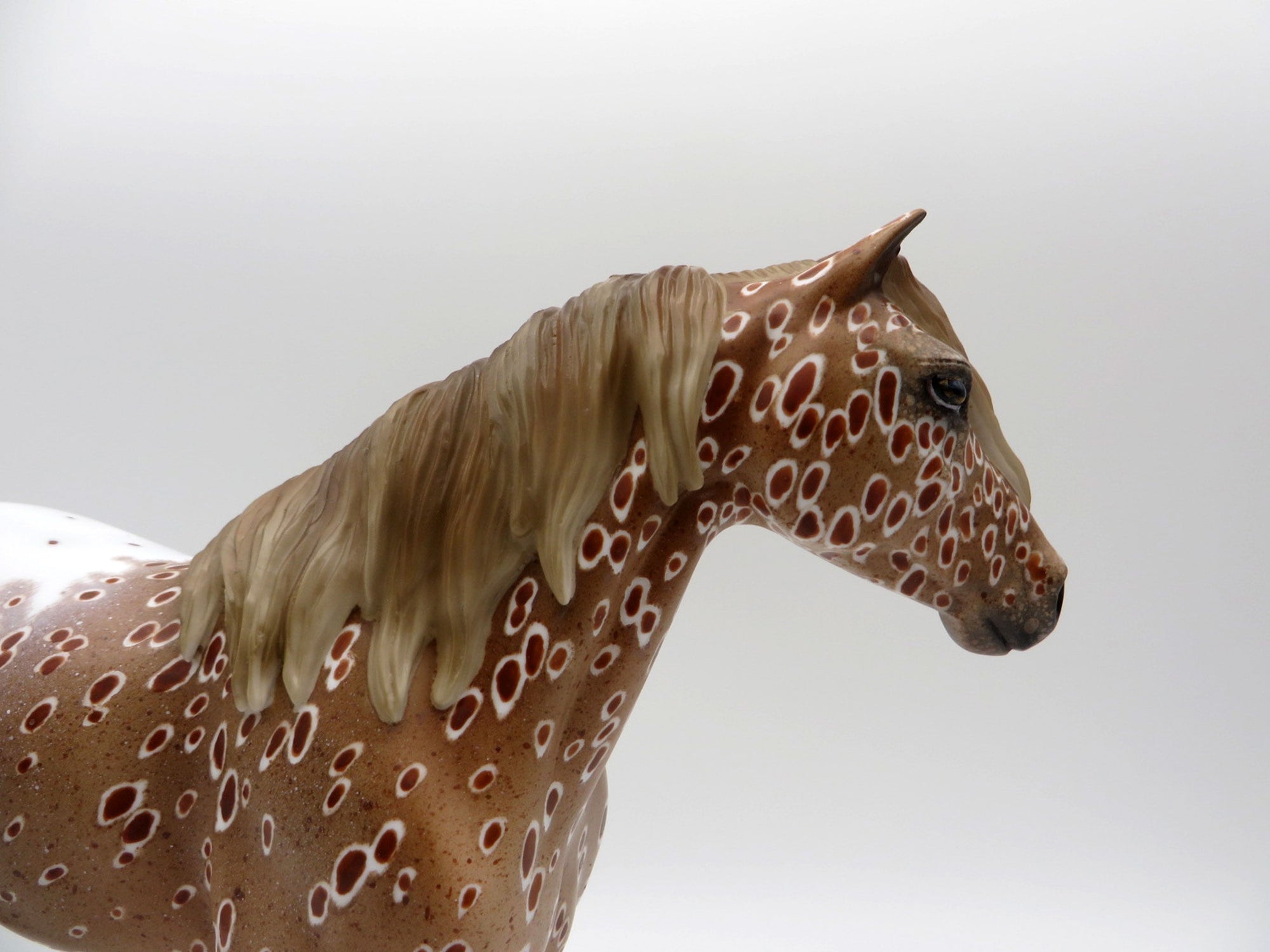 Inclement Weather-OOAK Loud Chestnut Appaloosa Mustang 5/11/21