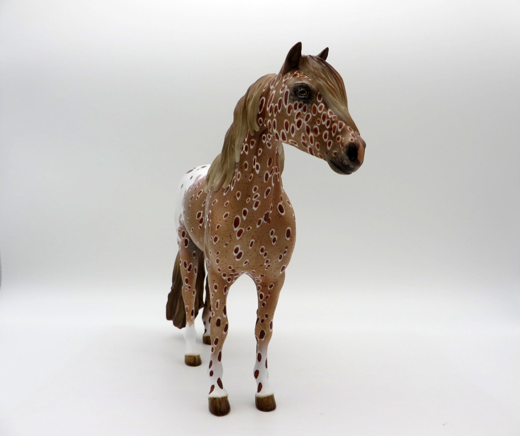 Inclement Weather-OOAK Loud Chestnut Appaloosa Mustang 5/11/21