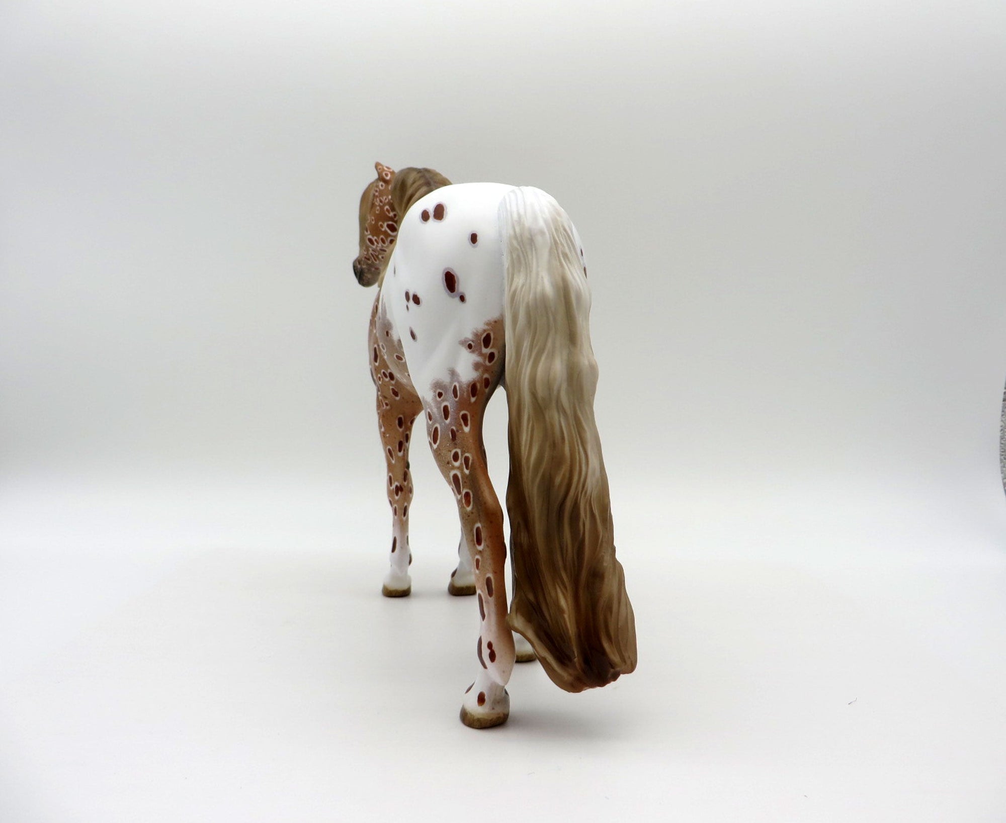 Inclement Weather-OOAK Loud Chestnut Appaloosa Mustang 5/11/21