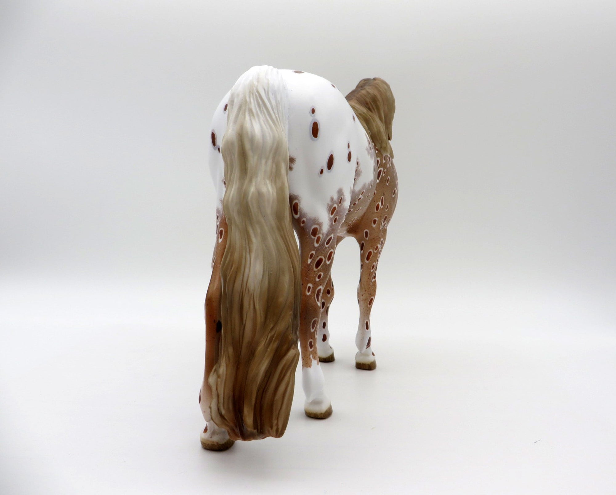 Inclement Weather-OOAK Loud Chestnut Appaloosa Mustang 5/11/21