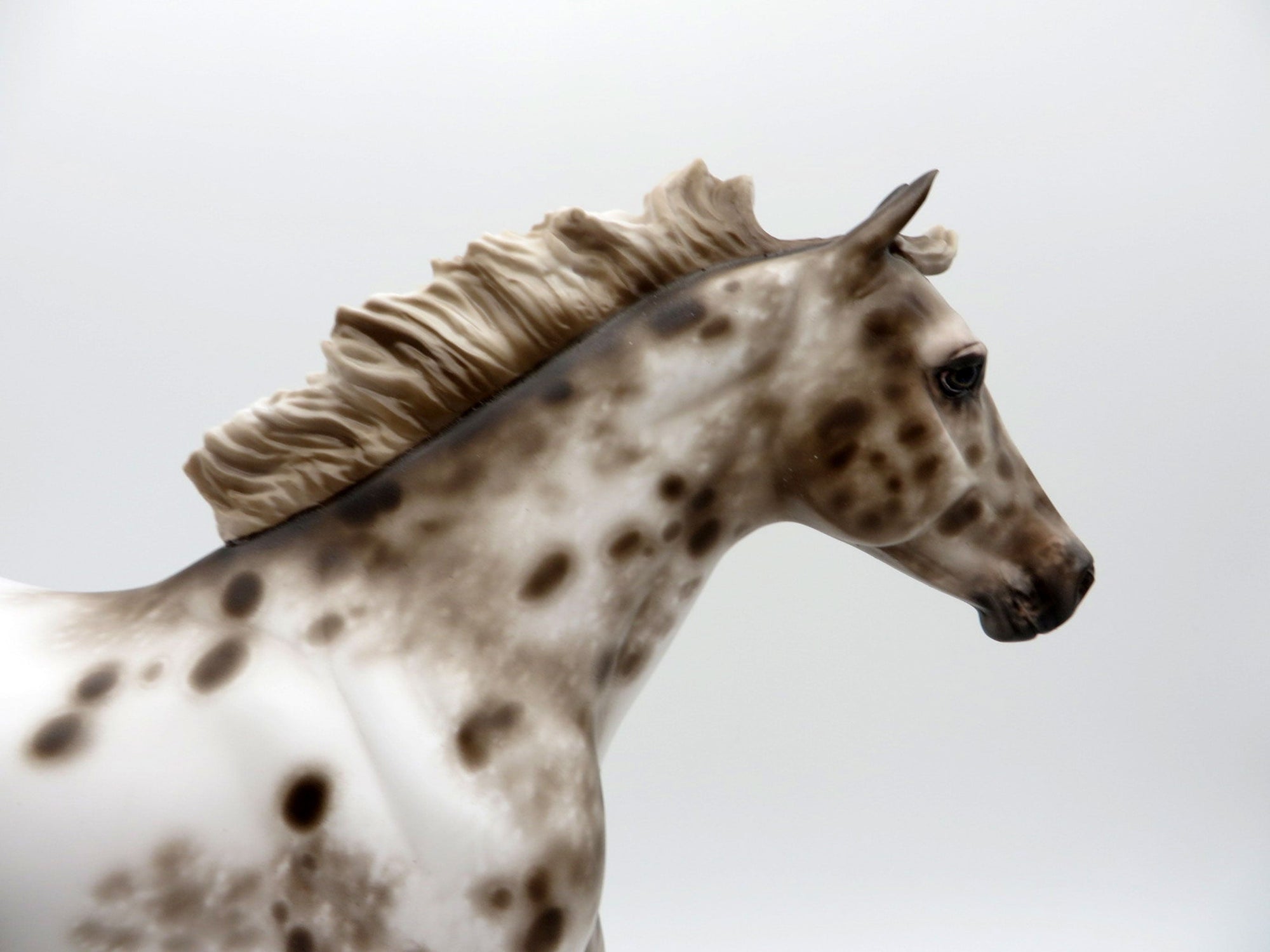 Island in the Sun-OOAK Chestnut Appaloosa FQH Painted by Sheryl Leisure 8/9/21