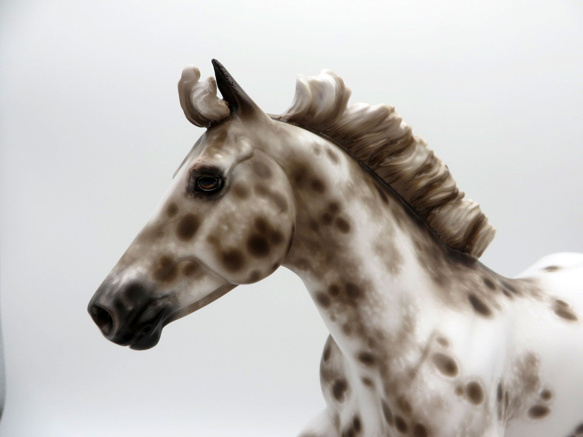 Island in the Sun-OOAK Chestnut Appaloosa FQH Painted by Sheryl Leisure 8/9/21