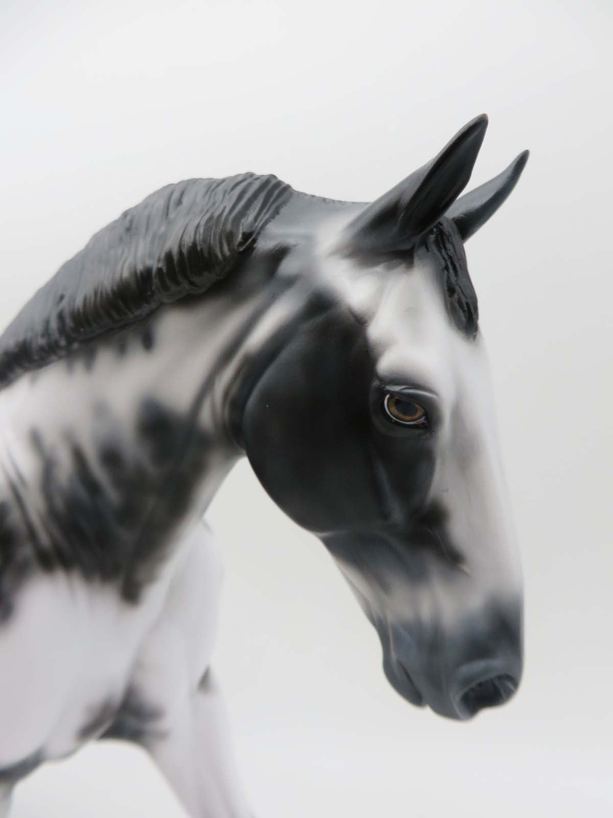 Jackaroo - OOAK - Few Spot Appaloosa Irish Draught By Dawn Quick - SHCF23