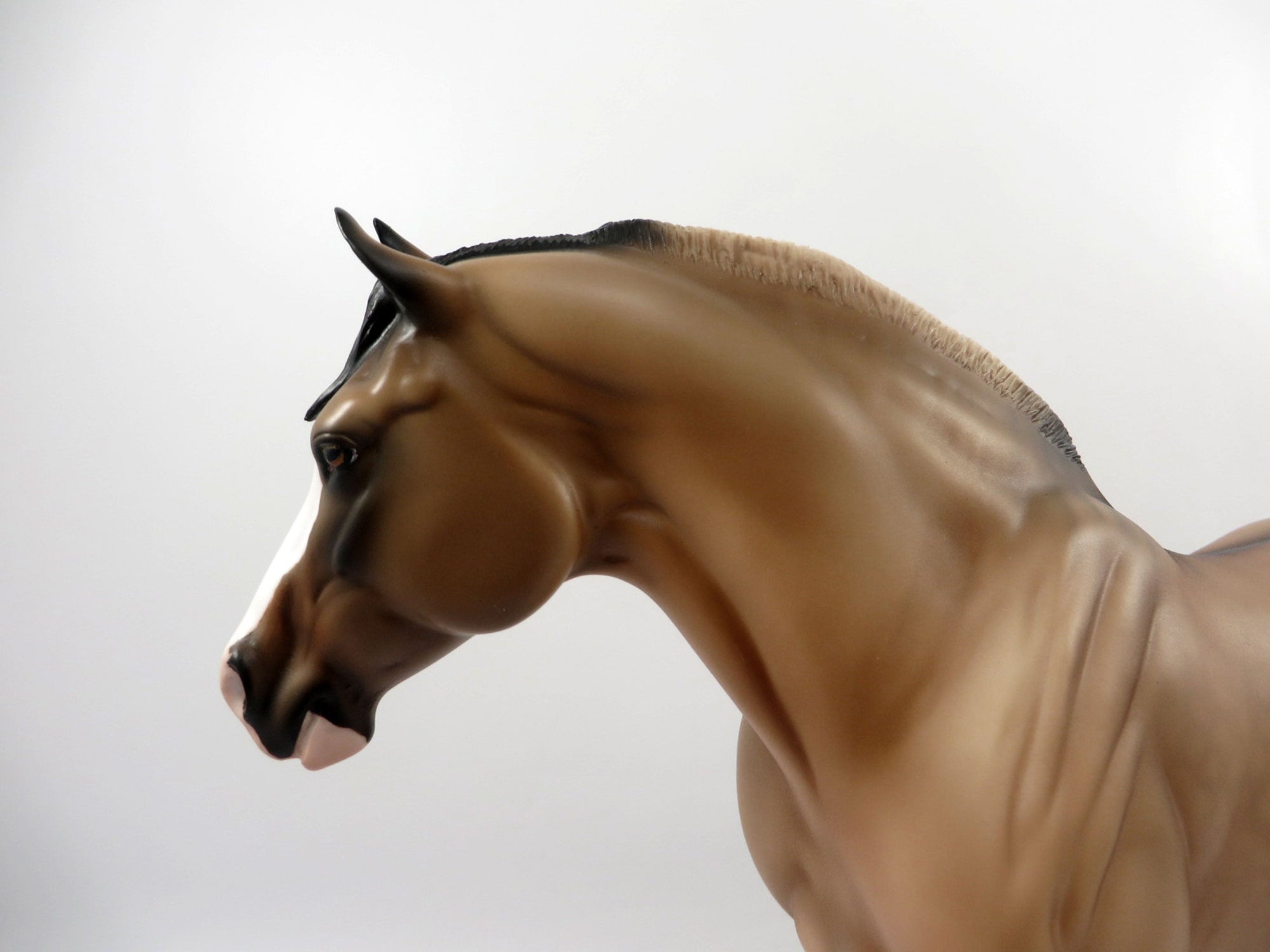 Jackpot-OOAK Buckskin Heavy Draft Mare 3/5/21