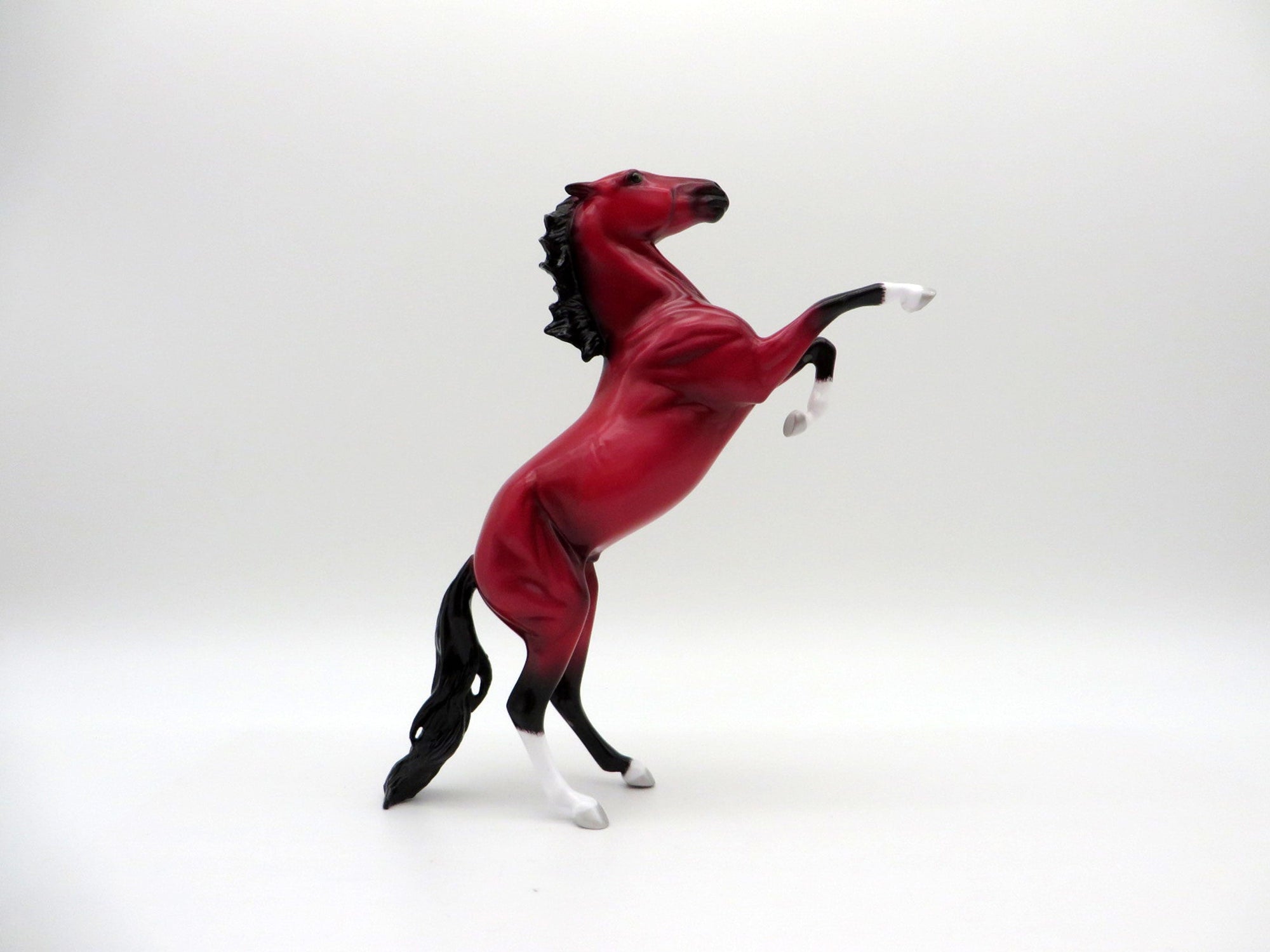 JafaR-LE-5 RUBY DECO REARING PEBBLES EQ 2021