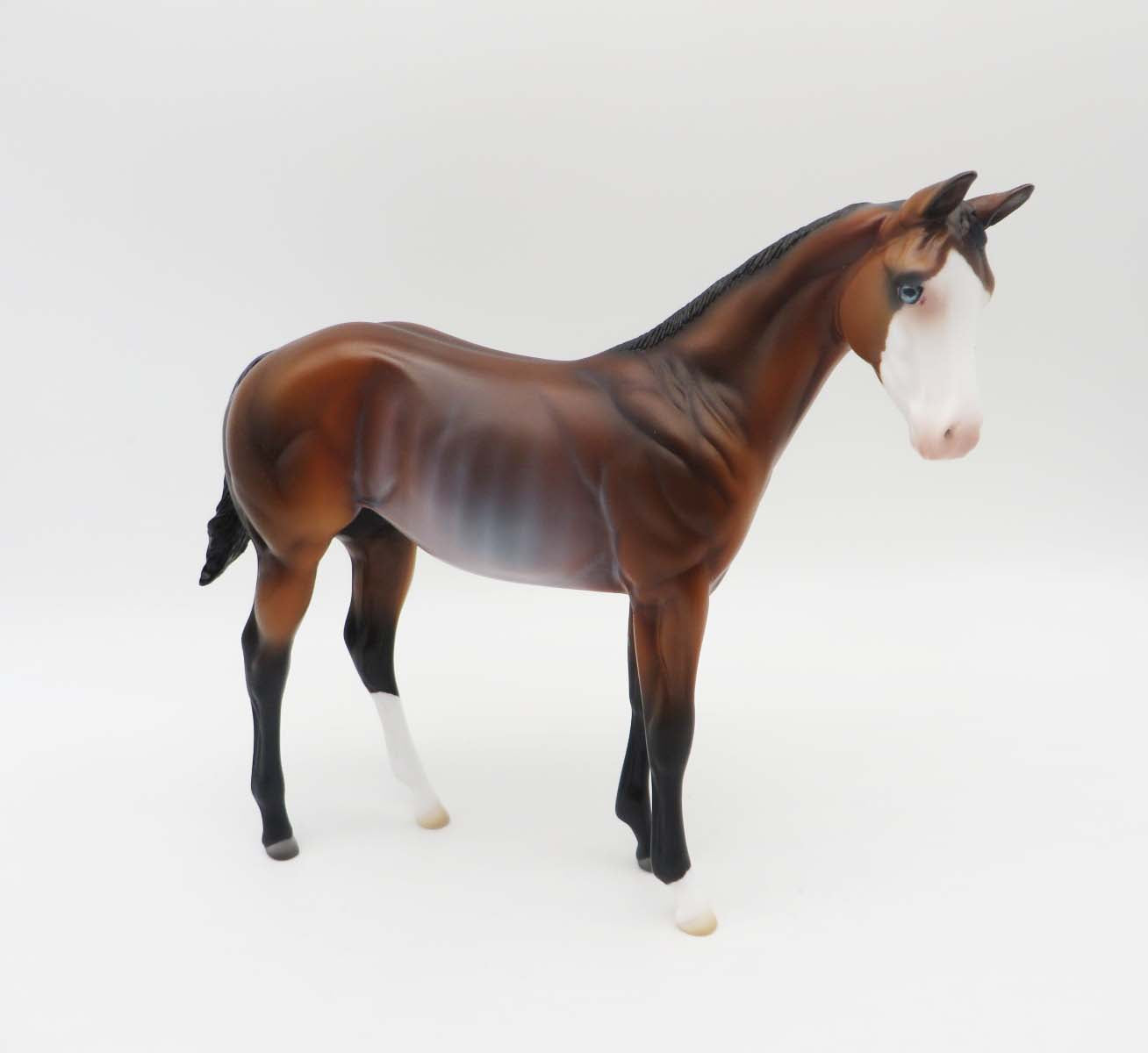 Jail Bird-OOAK Bay Rabicano Weanling Painted by Ashley- SHCF23