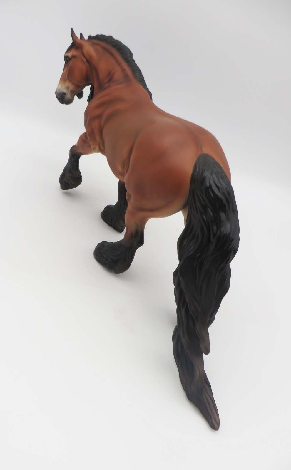 Jamie - LE 30 - Lightly Dappled Bay Irish Cob By Jess Hamill - SHCF23