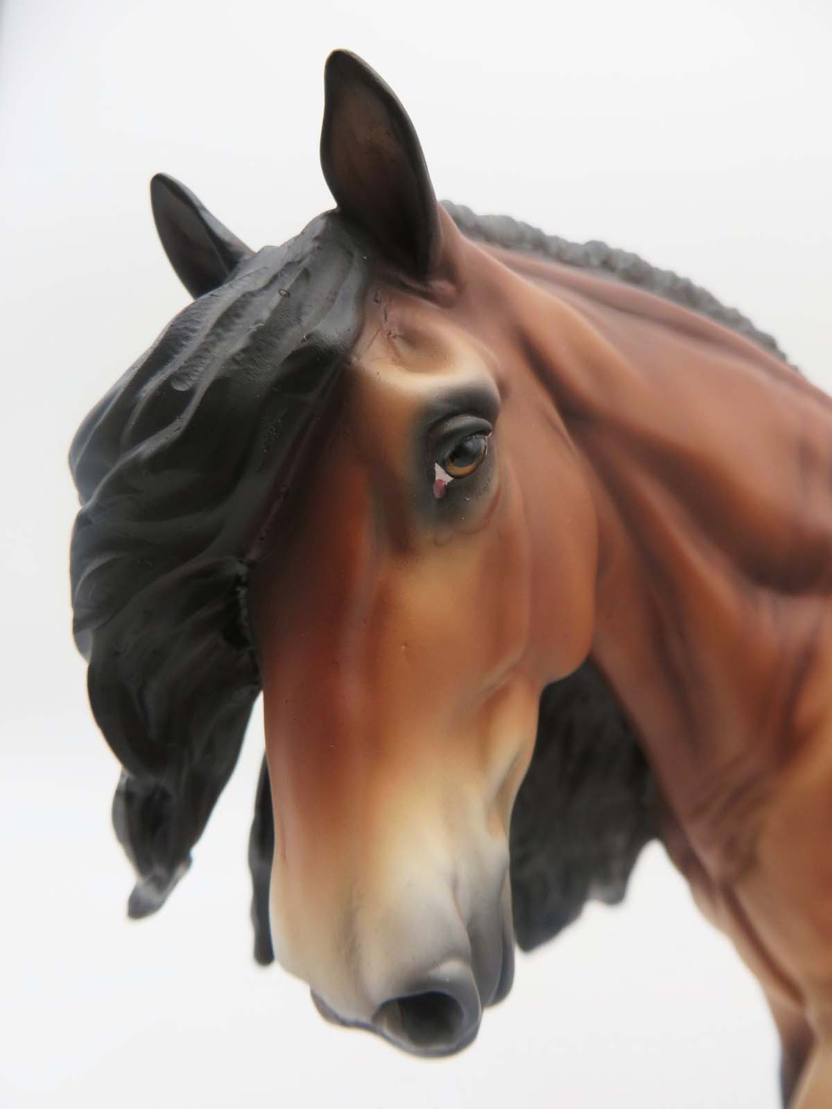 Jamie - LE 30 - Lightly Dappled Bay Irish Cob By Jess Hamill - SHCF23