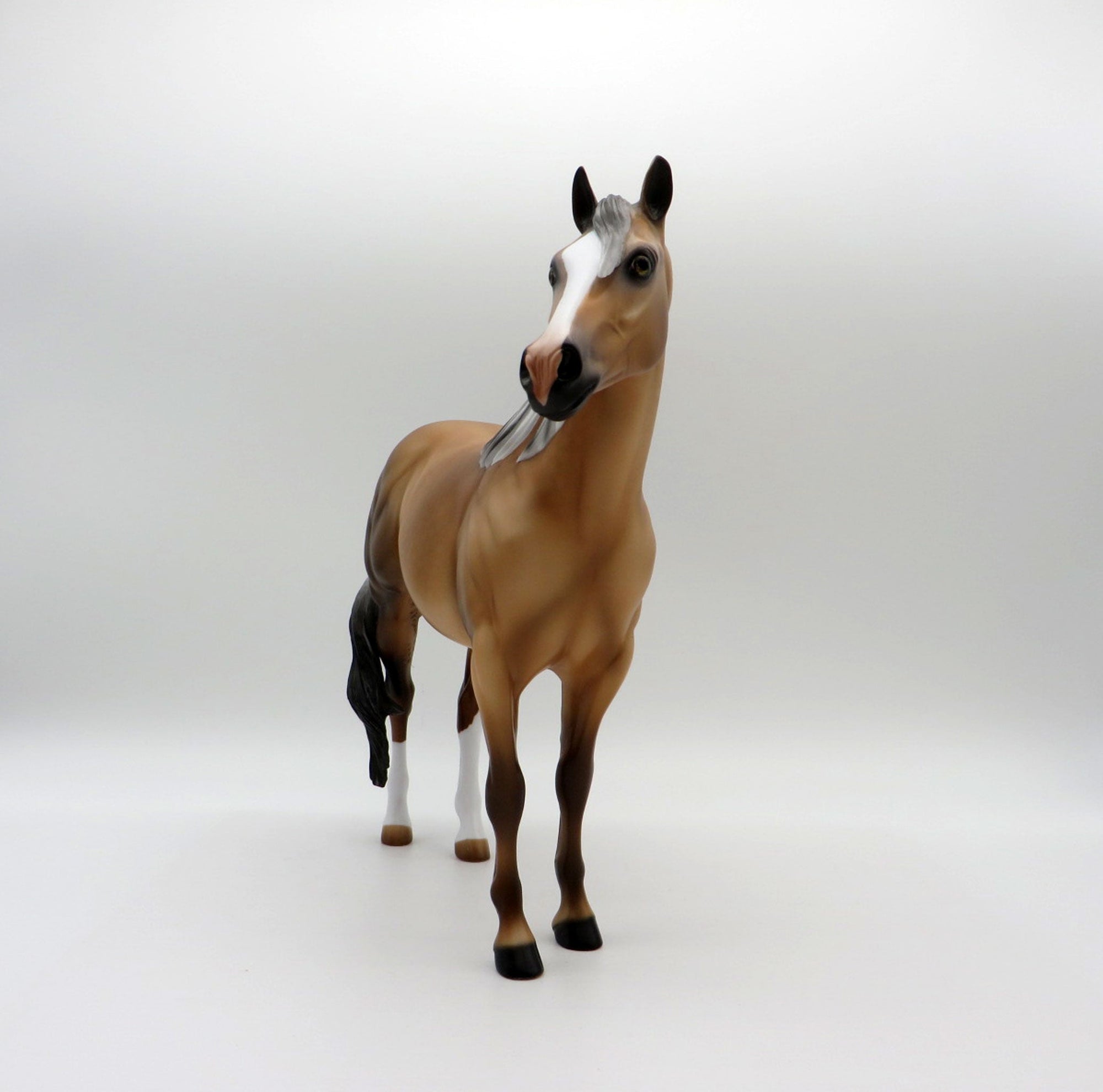 JAREK-LE-6 Sooty Palomino ISH 4/16/21