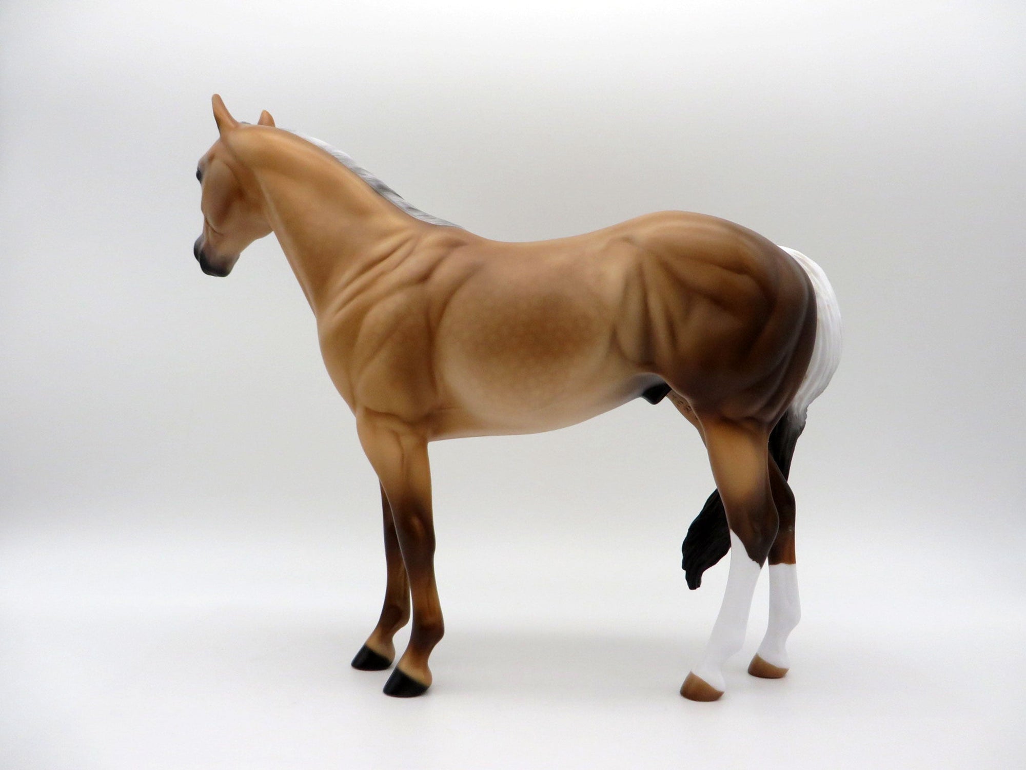 JAREK-LE-6 Sooty Palomino ISH 4/16/21