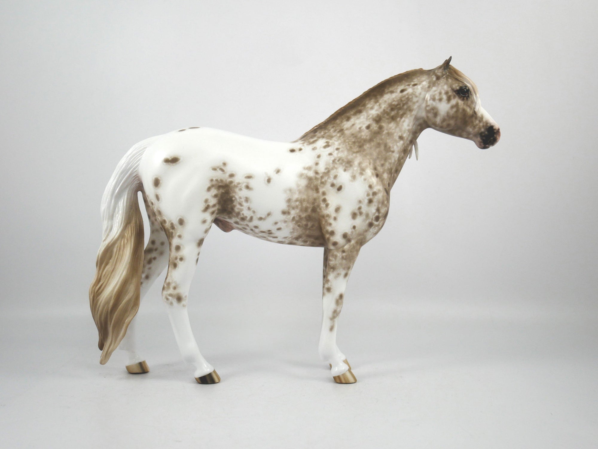 Jasper-OOAK Appaloosa Mustang By Sheryl Leisure 1/7/21