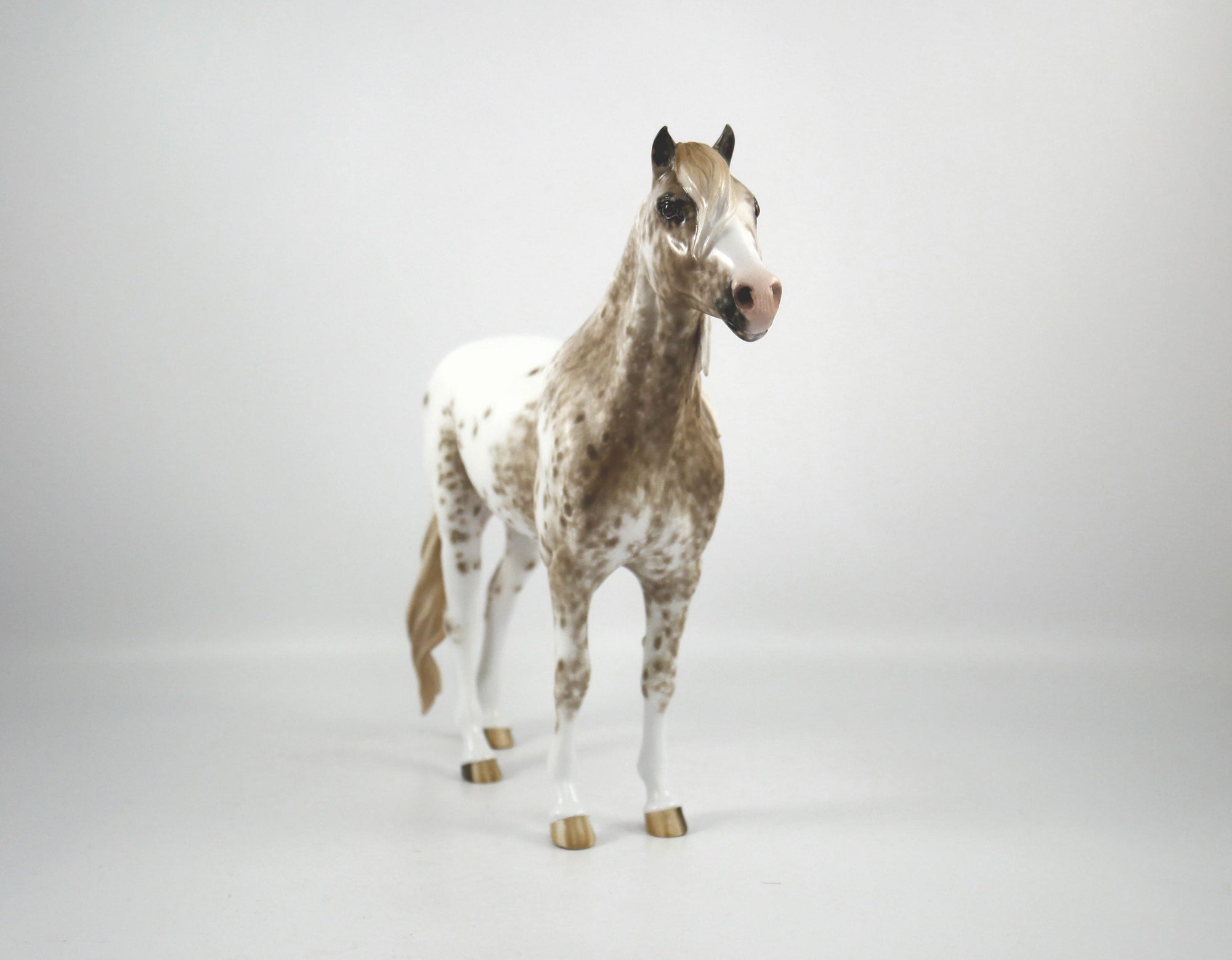 Jasper-OOAK Appaloosa Mustang By Sheryl Leisure 1/7/21