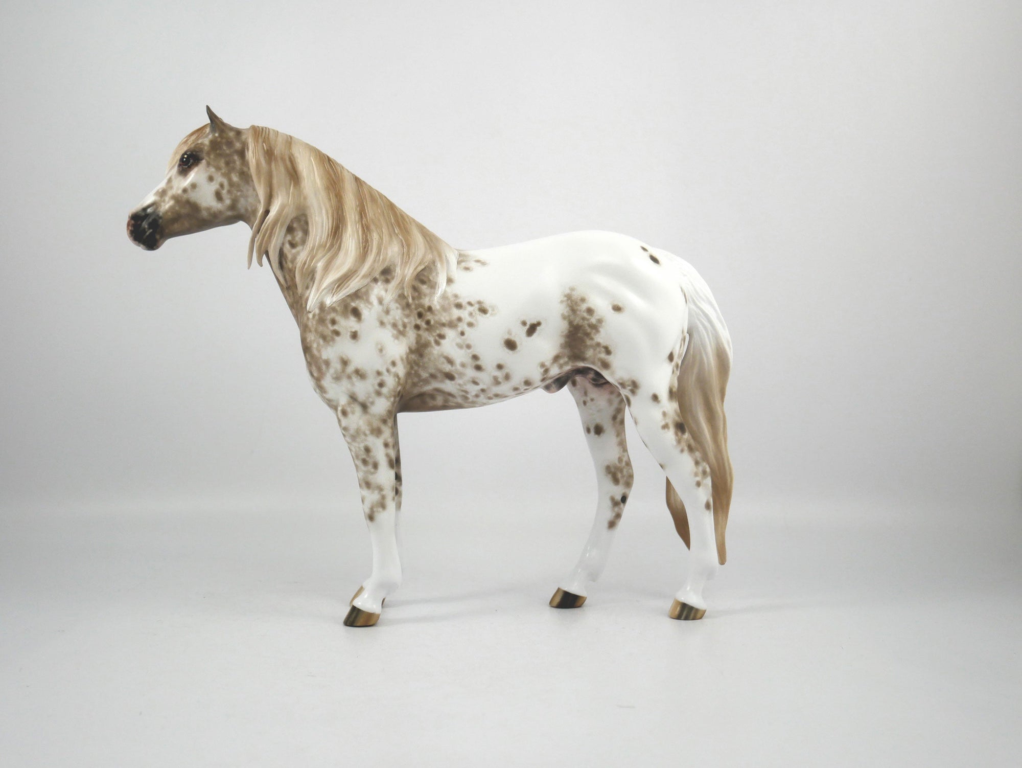 Jasper-OOAK Appaloosa Mustang By Sheryl Leisure 1/7/21