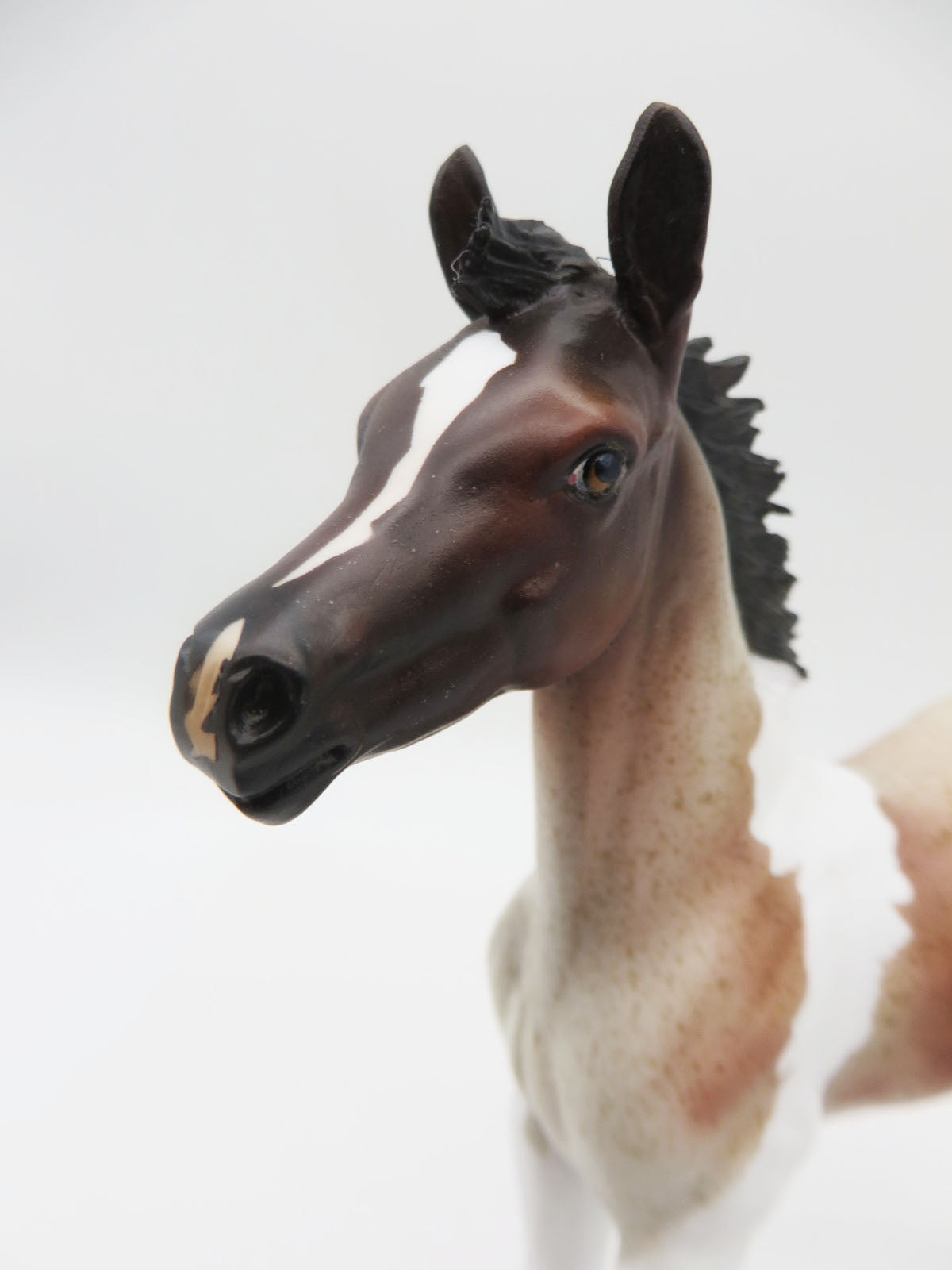 Jazz-OOAK Roan Pinto Foal by Dawn Quick P&C 23