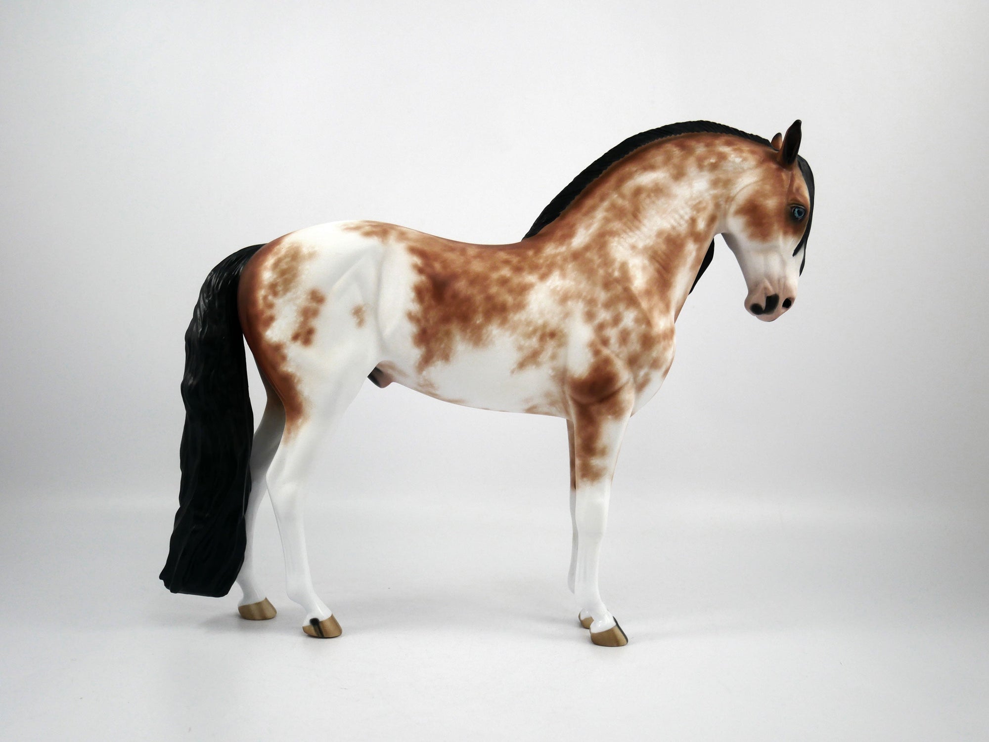 John Matrix-OOAK Bay Sabino Andalusian Painted By Sheryl Leisure 1/15/21