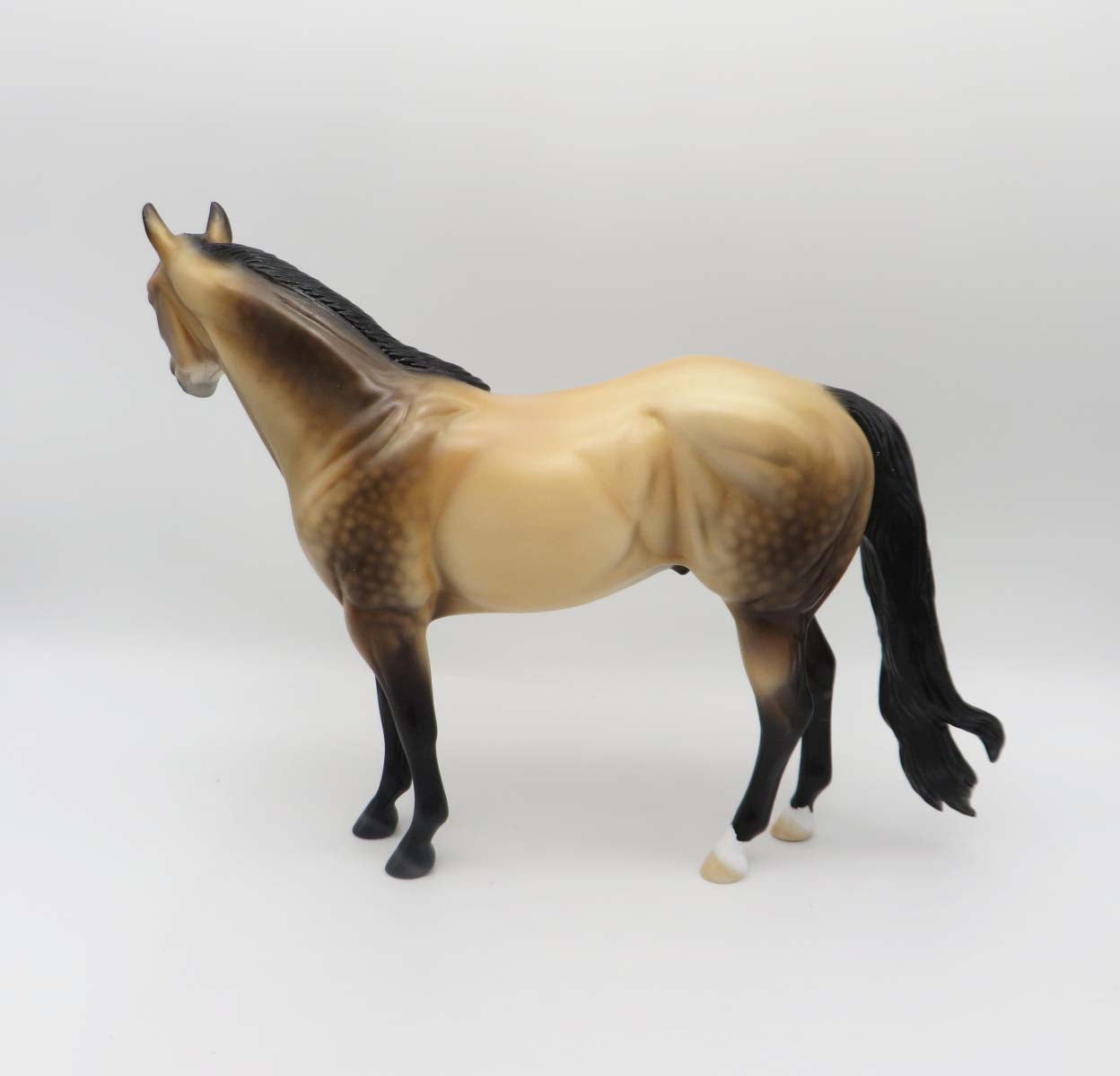 Dutton LE 15 Customized Dappled Sooty Buckskin Ideal Stock Horse By Ellen Robbins SHCF23