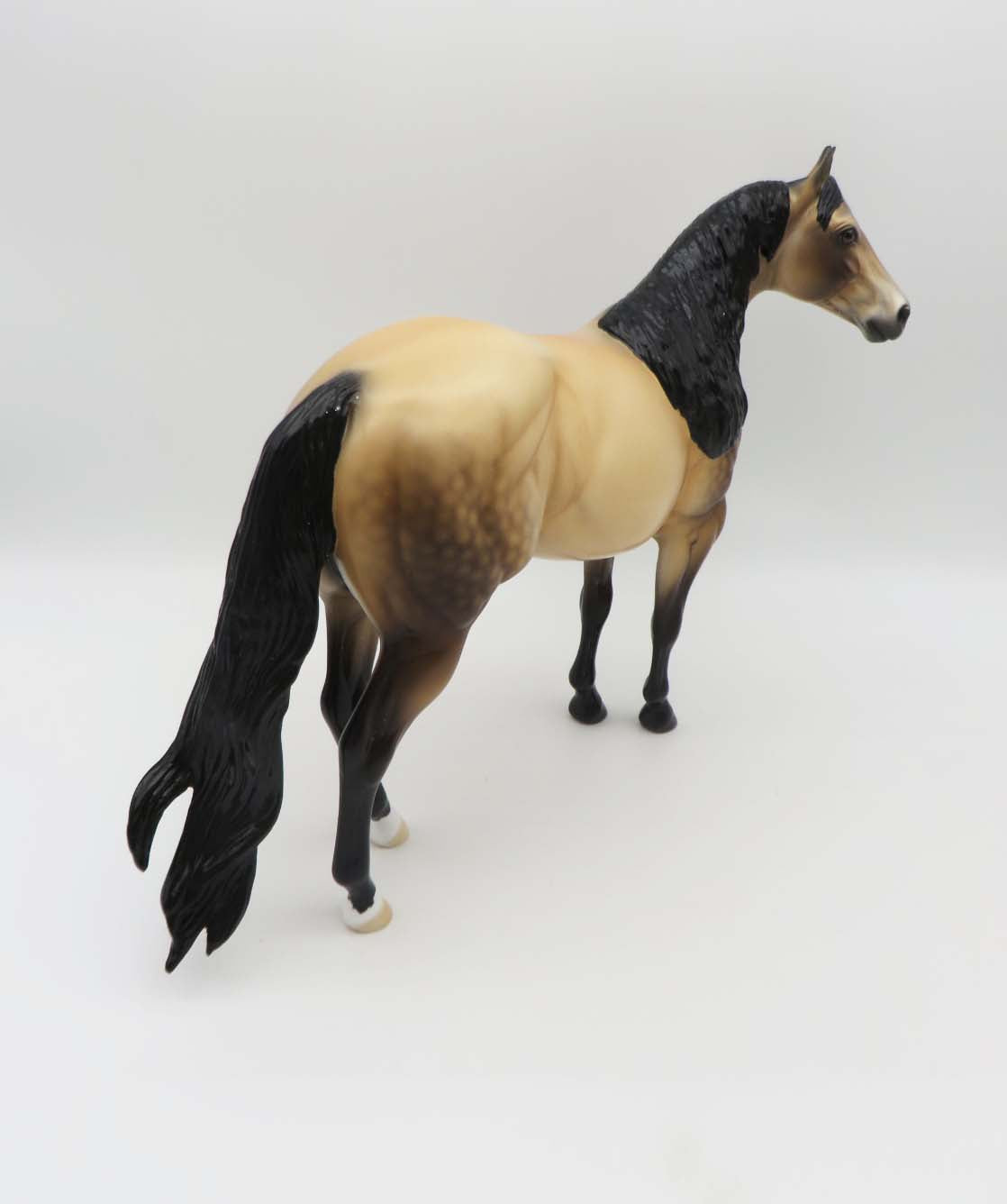 Dutton LE 15 Customized Dappled Sooty Buckskin Ideal Stock Horse By Ellen Robbins SHCF23