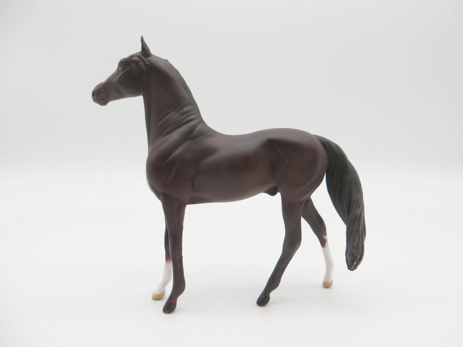 KINGSCANYON -OOAK Bay Morgan Chip by Andrea LHS 22