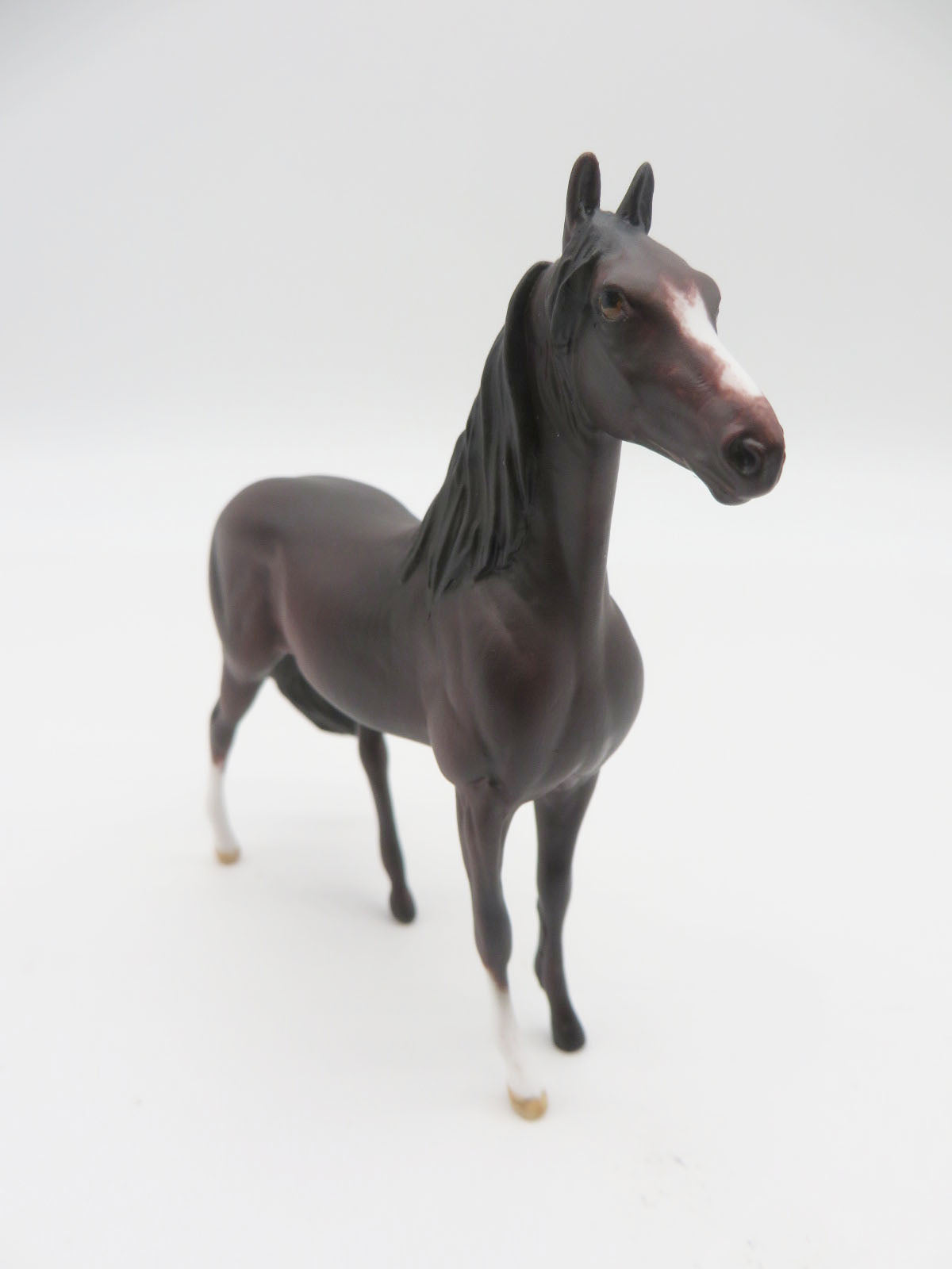 KINGSCANYON -OOAK Bay Morgan Chip by Andrea LHS 22