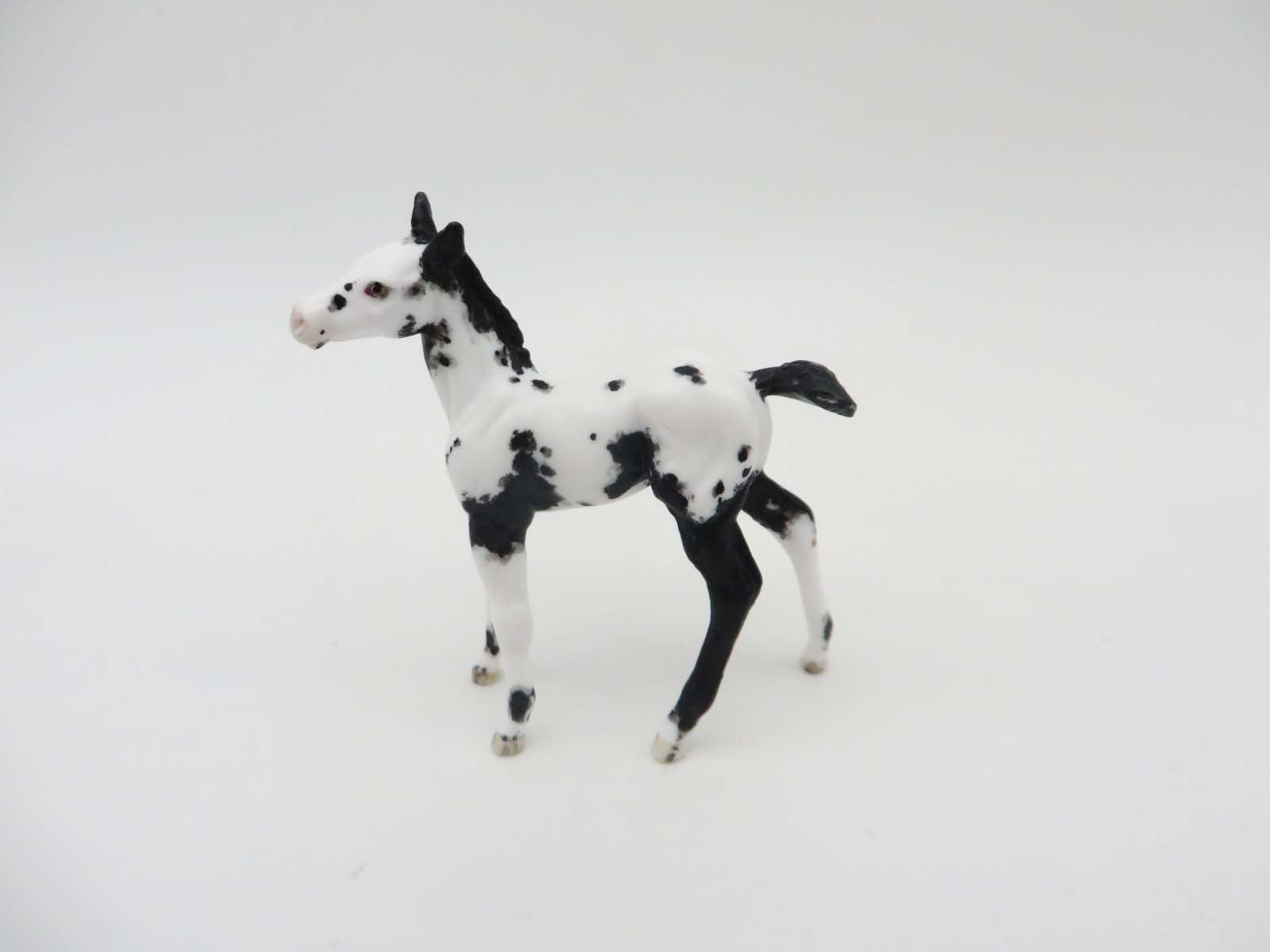 Kalispell - OOAK - Appy Chip Foal By Andrea Thomason - SHCF23