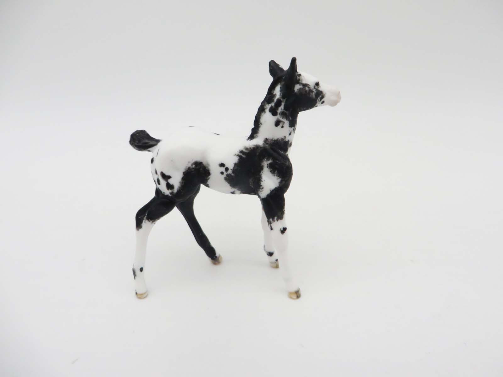 Kalispell - OOAK - Appy Chip Foal By Andrea Thomason - SHCF23