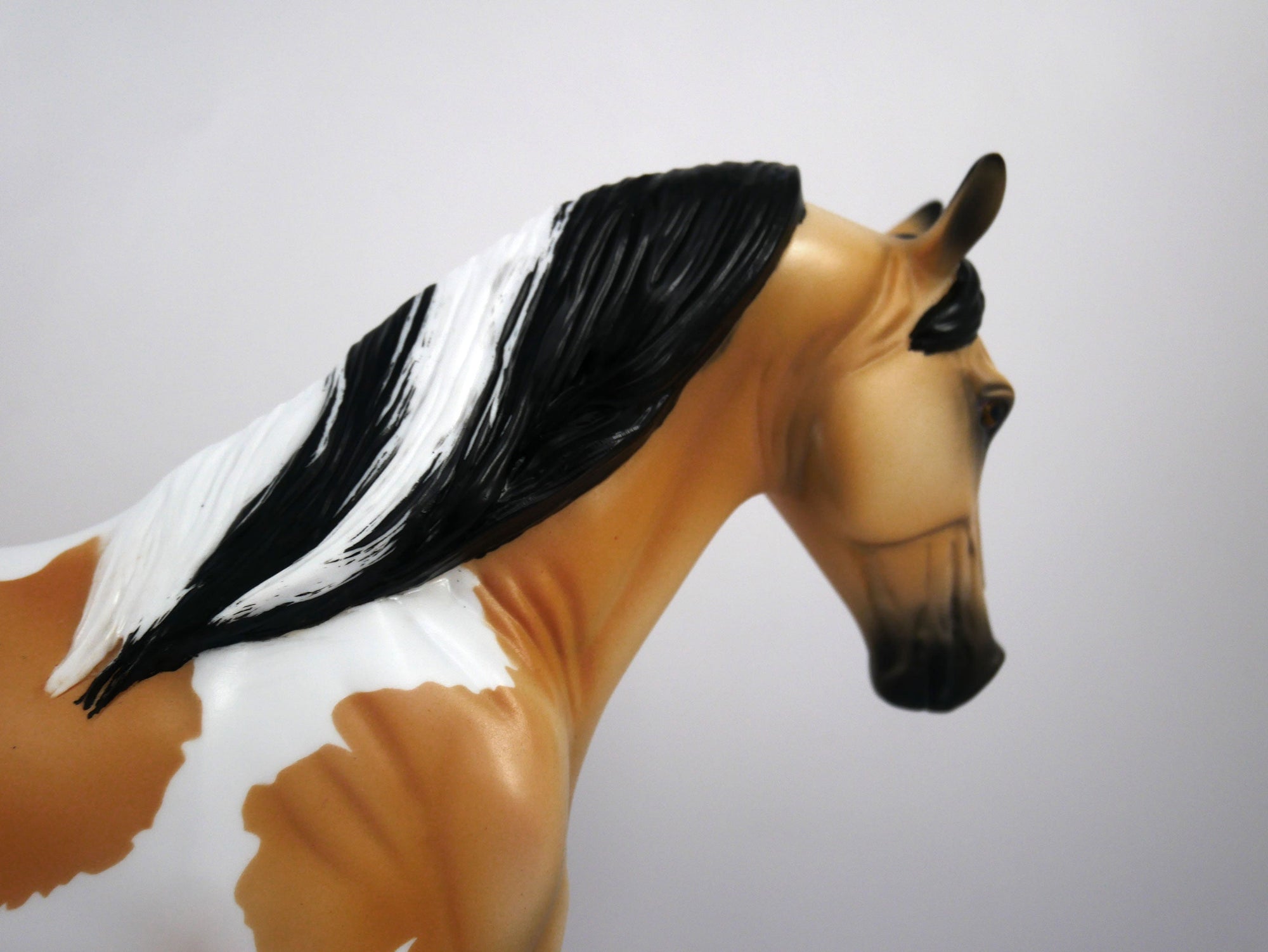 Kenny-OOAK Buckskin Paint Tennessee Walk by Ellen 1/29/21