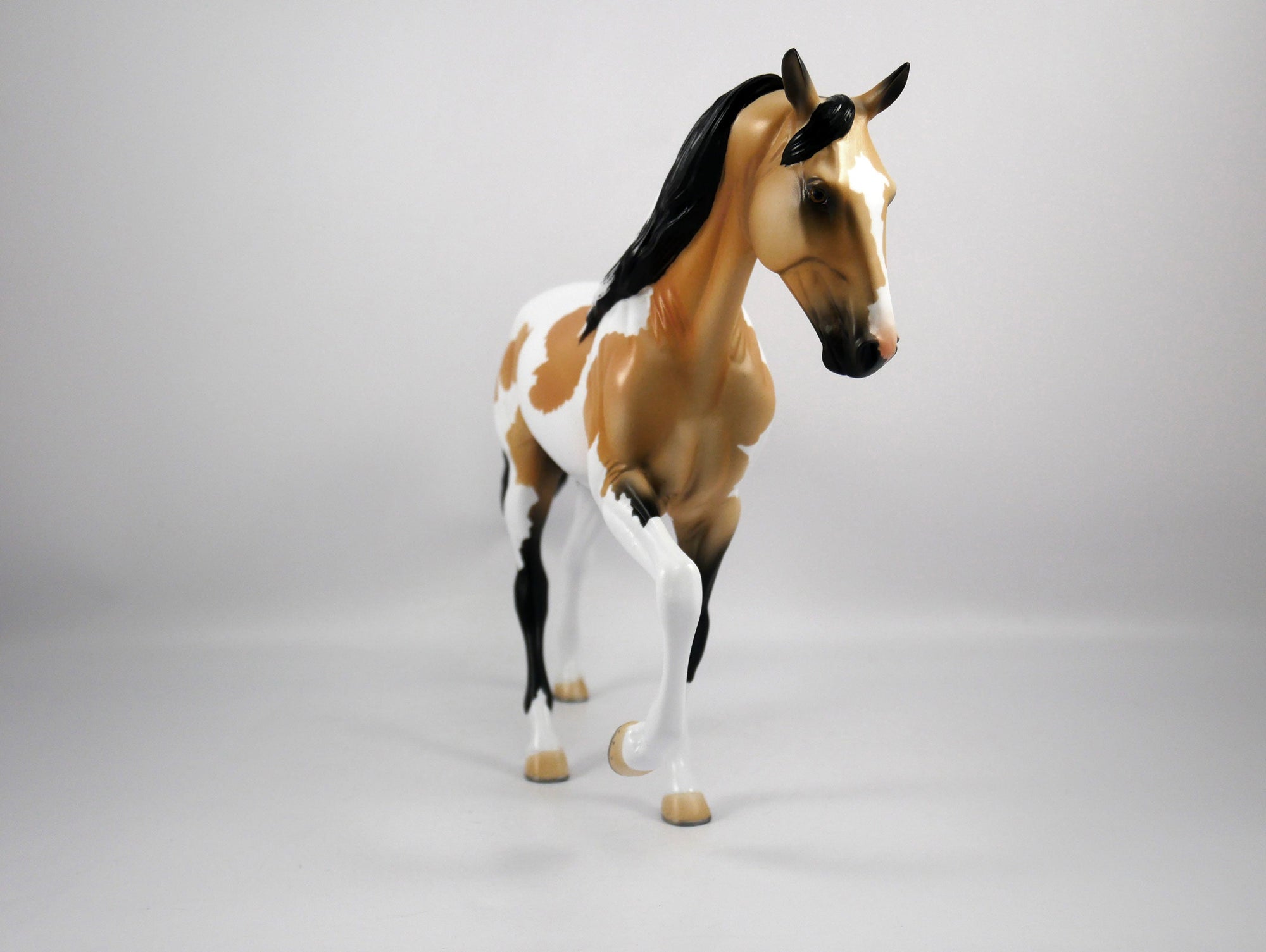 Kenny-OOAK Buckskin Paint Tennessee Walk by Ellen 1/29/21