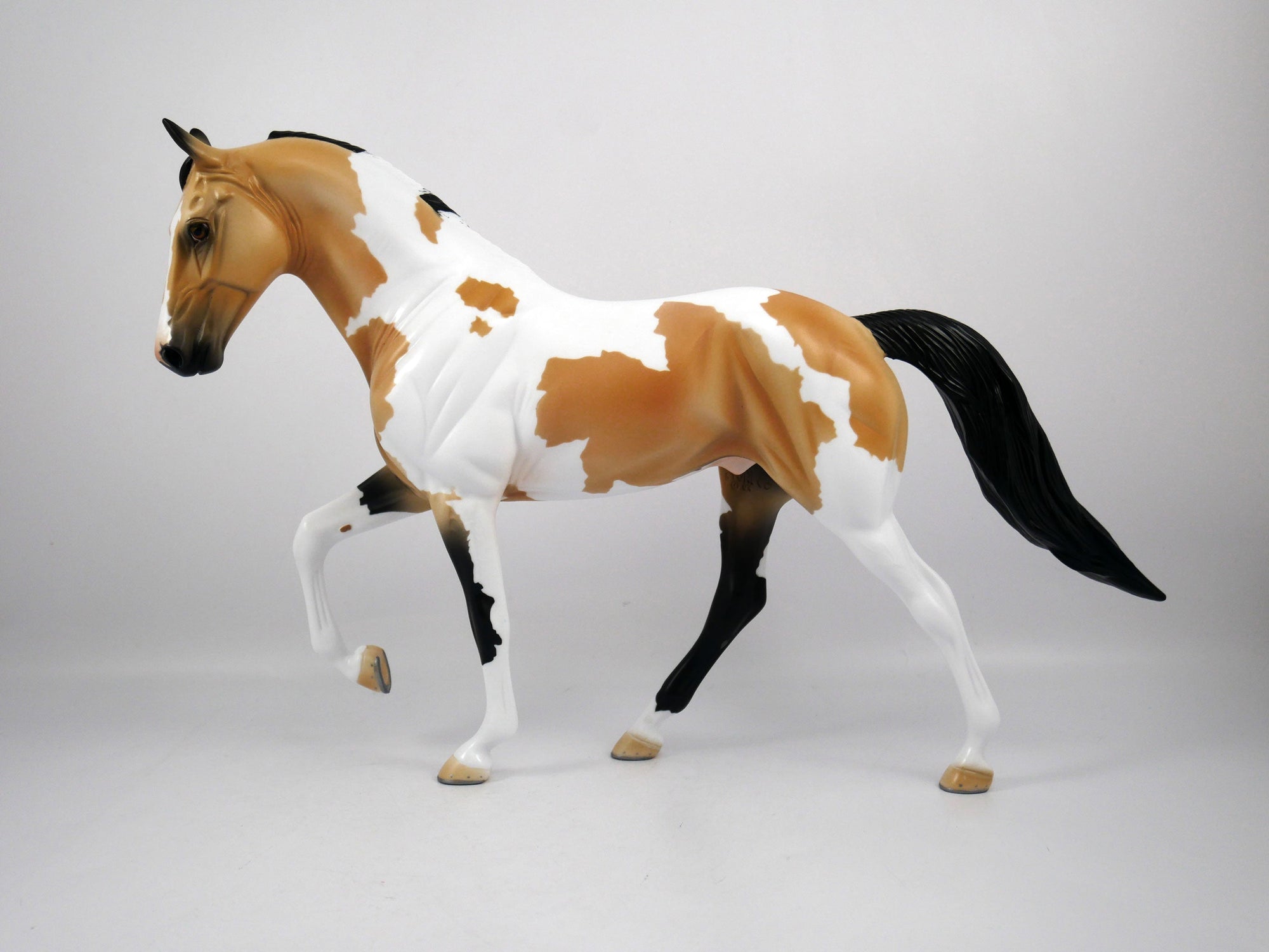 Kenny-OOAK Buckskin Paint Tennessee Walk by Ellen 1/29/21