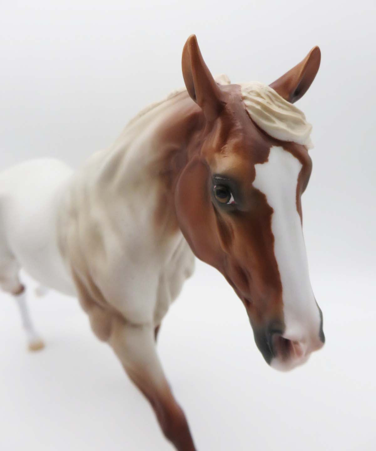 LOYALTY RELEASE Kick It Up LE 150 Loyalty Club 22/23 Flaxen Strawberry Roan Remington By Ashley Palmer - 03/10/23