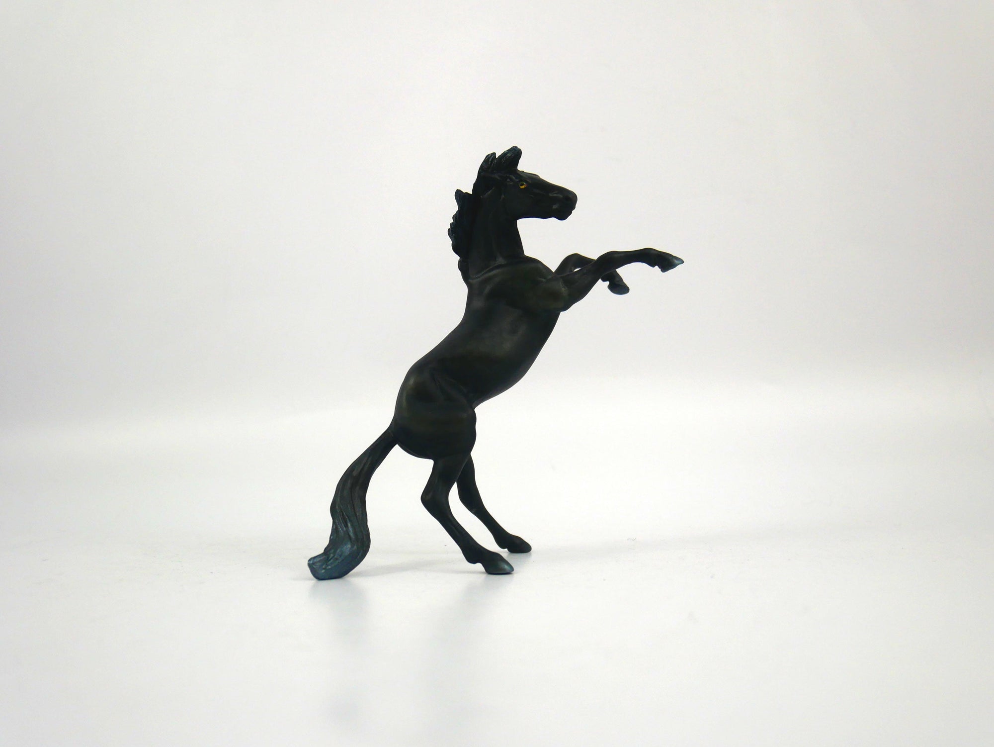 Kiddra-OOAK Dapple Black Rearing Chip Chip 1/27/21