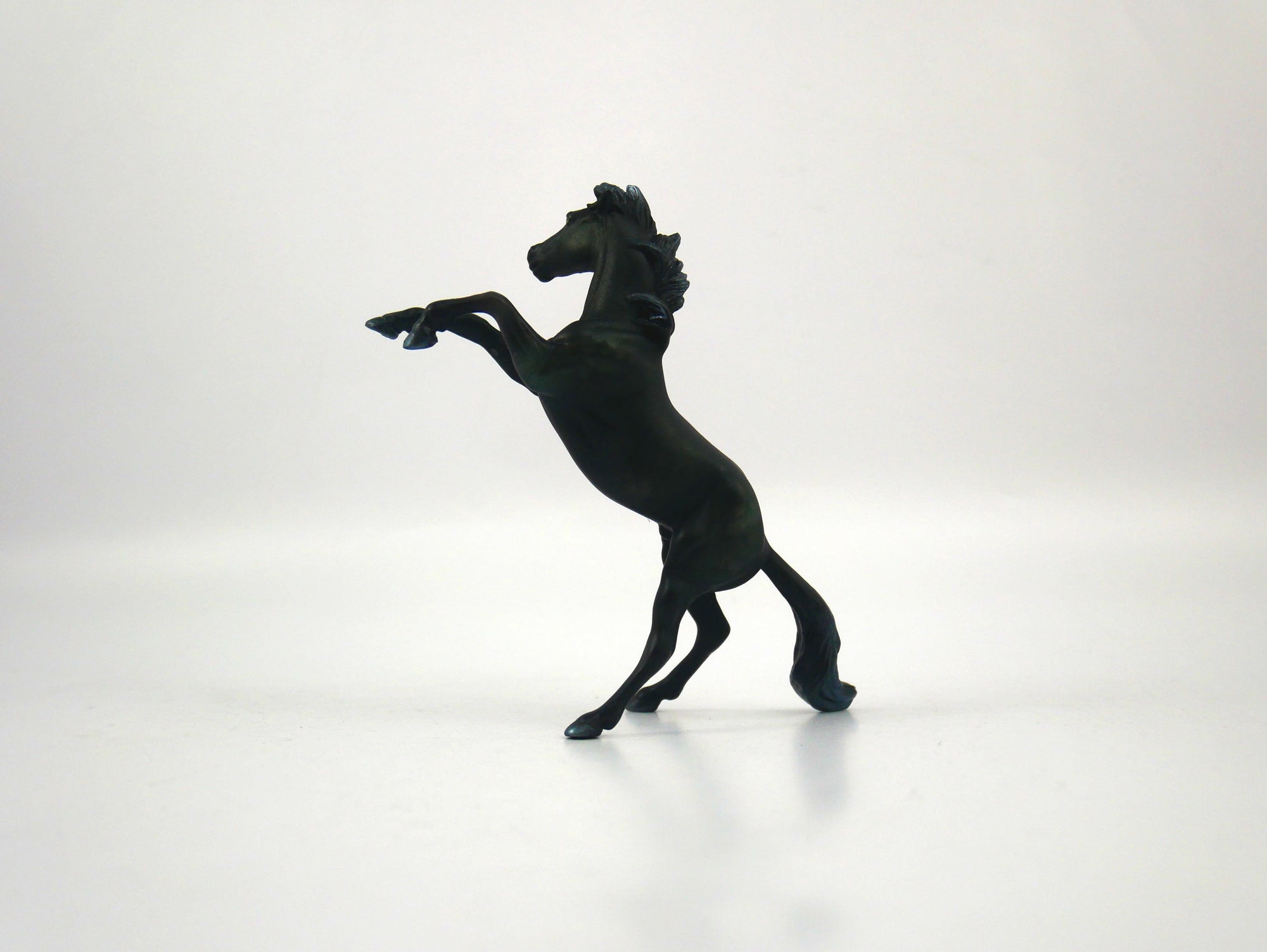 Kiddra-OOAK Dapple Black Rearing Chip Chip 1/27/21