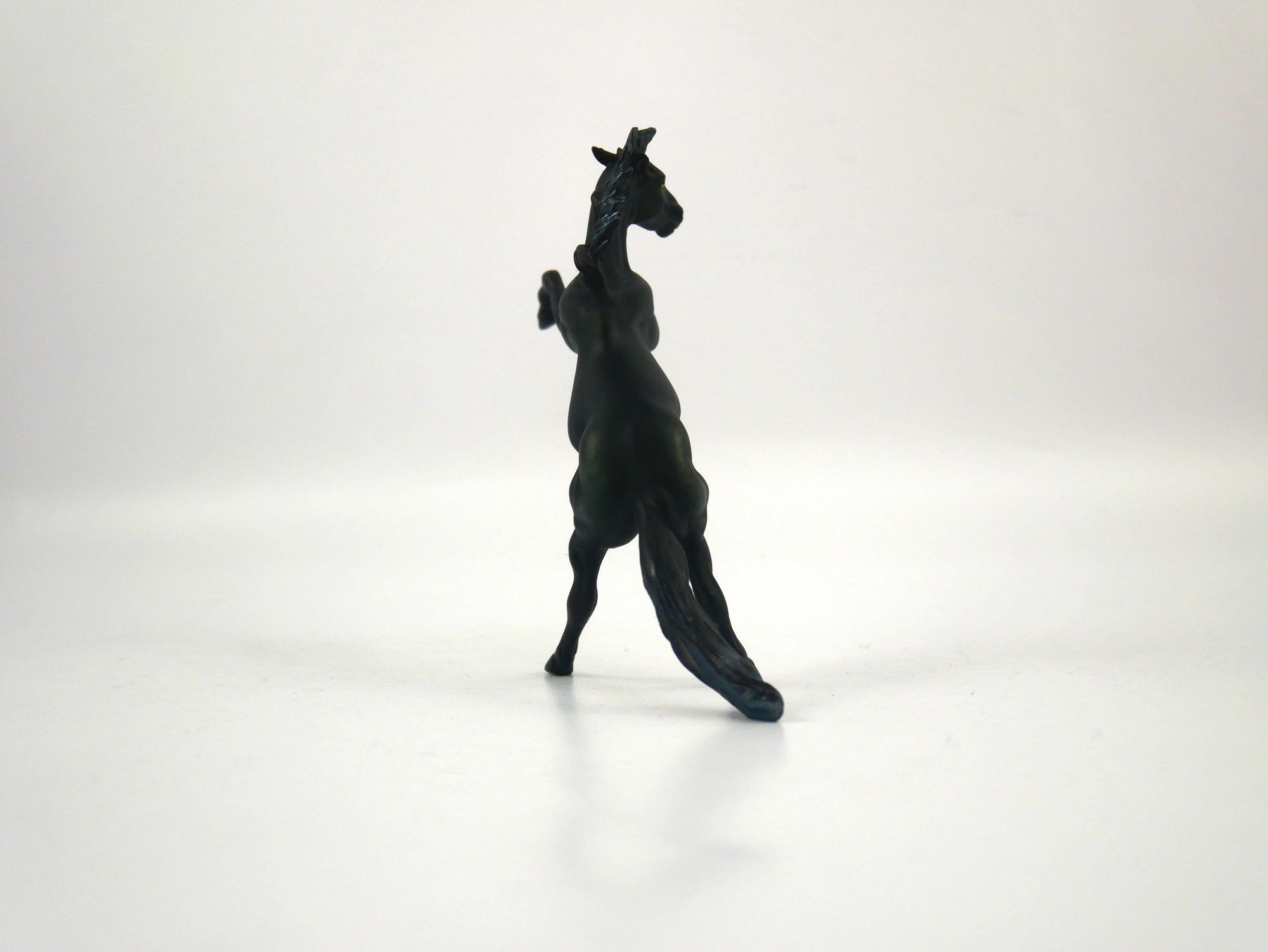 Kiddra-OOAK Dapple Black Rearing Chip Chip 1/27/21