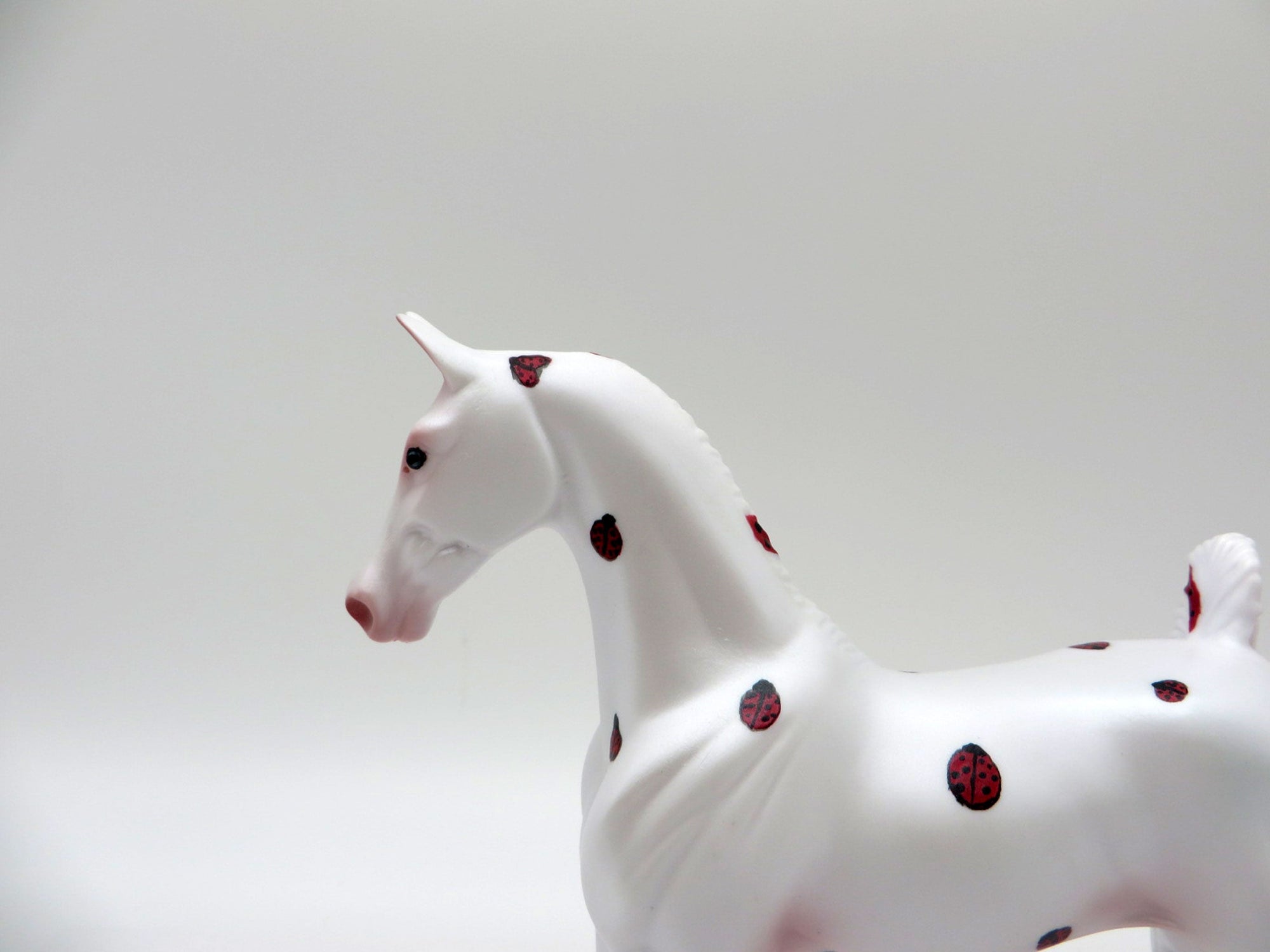 Lady Bug-OOAK Saddlebred Pebbles Painted By Jas Fanning 6/4/21