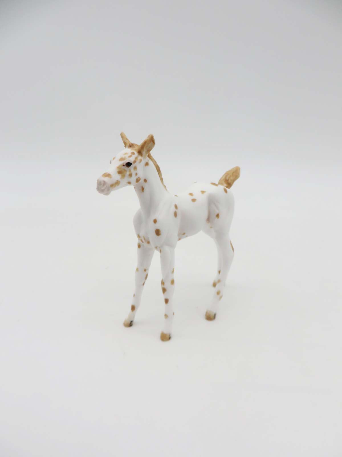 Libby - OOAK - Appy Chip Foal By Andrea Thomason - SHCF23